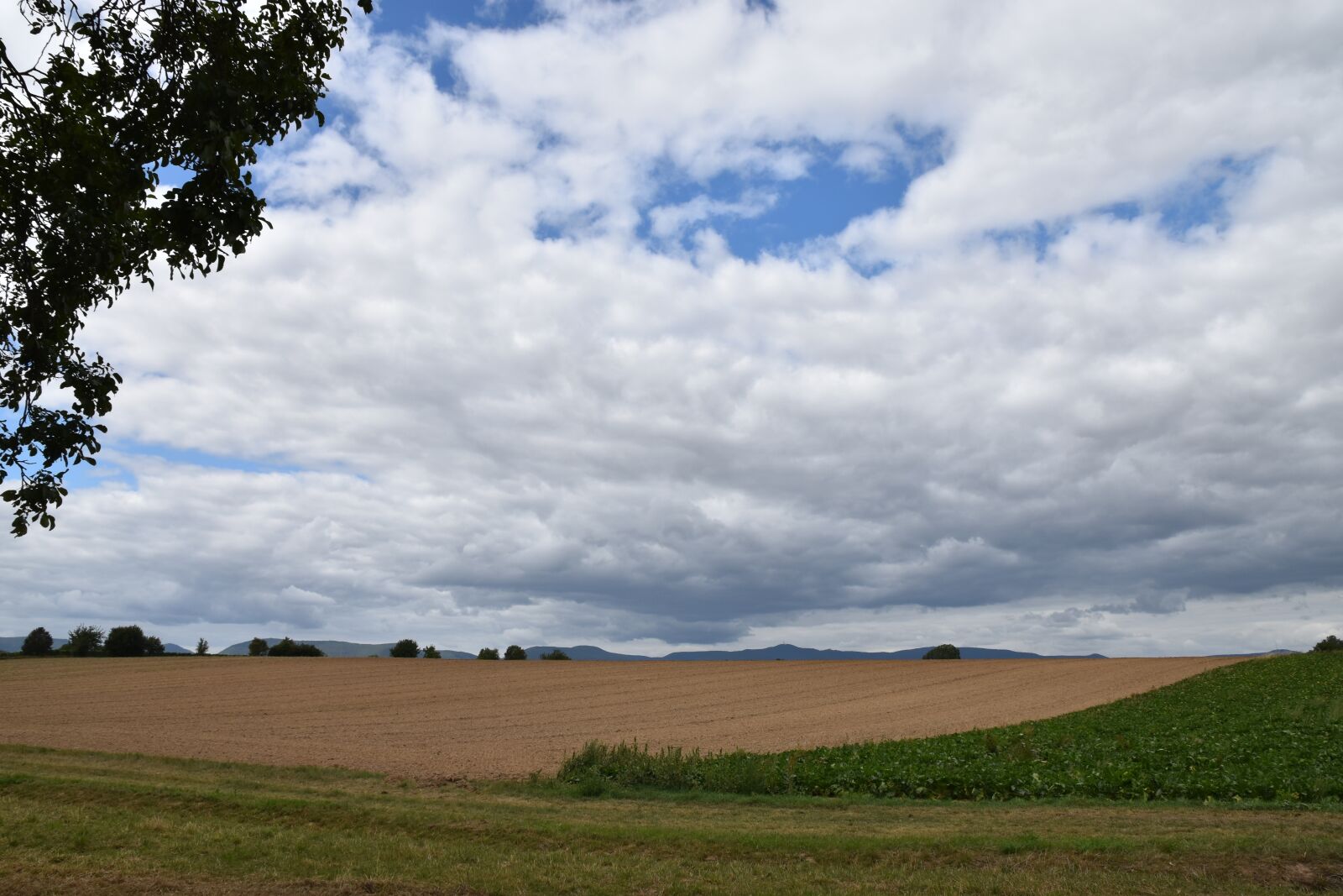 Nikon D5500 sample photo. Nature, panorama, sky photography