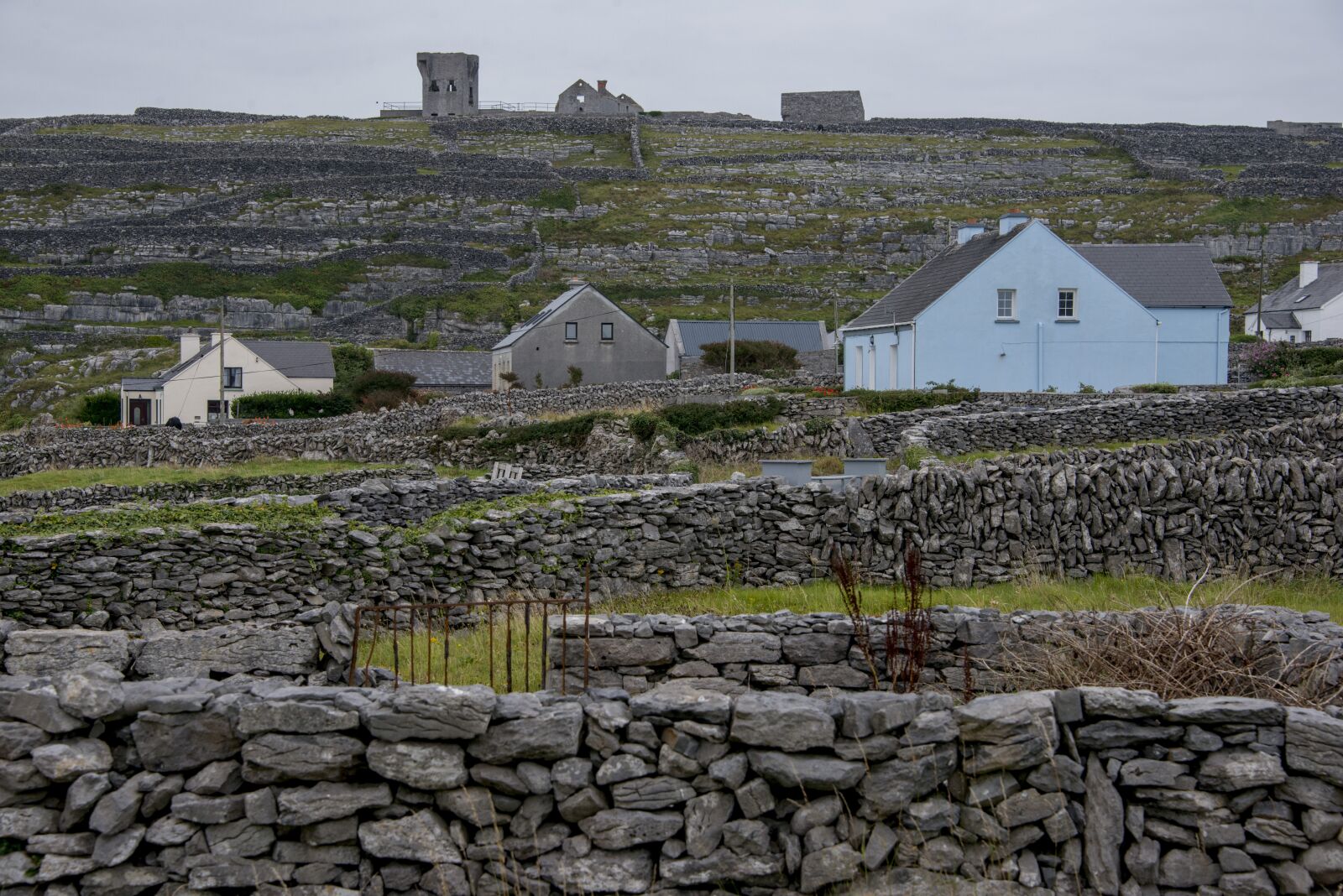 Nikon D800 sample photo. Ireland, aran islands, inisheer photography
