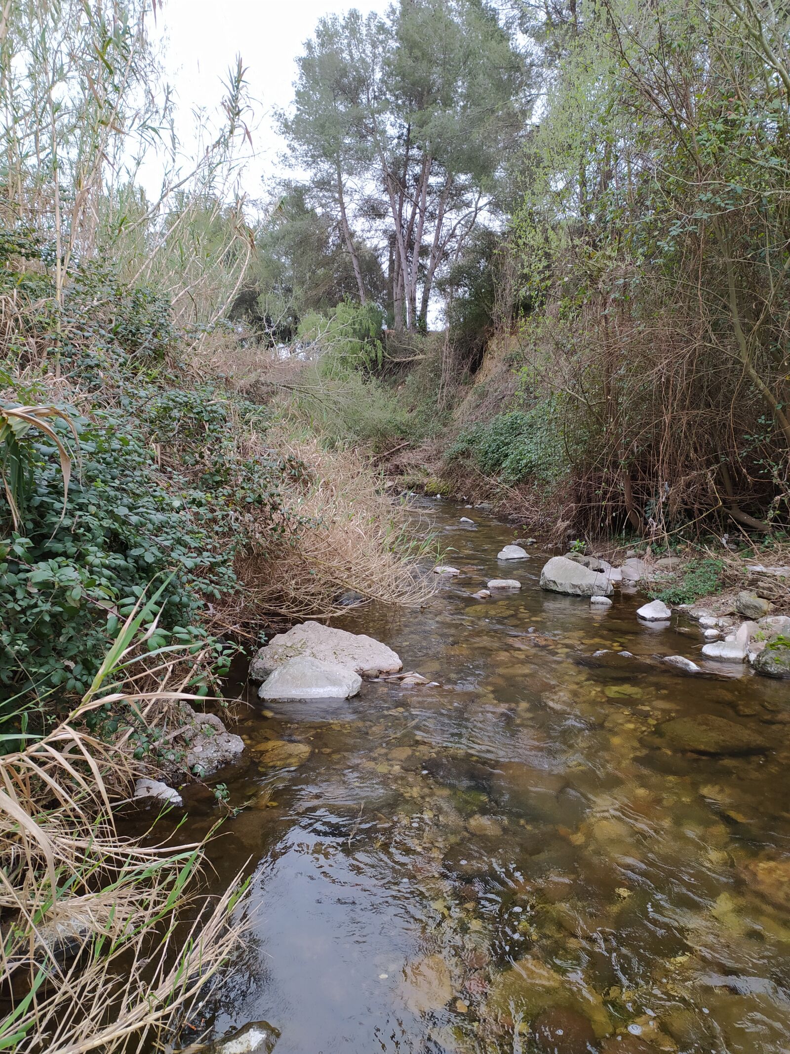 Xiaomi Redmi Note 8 sample photo. Riu, catalunya, vallès photography