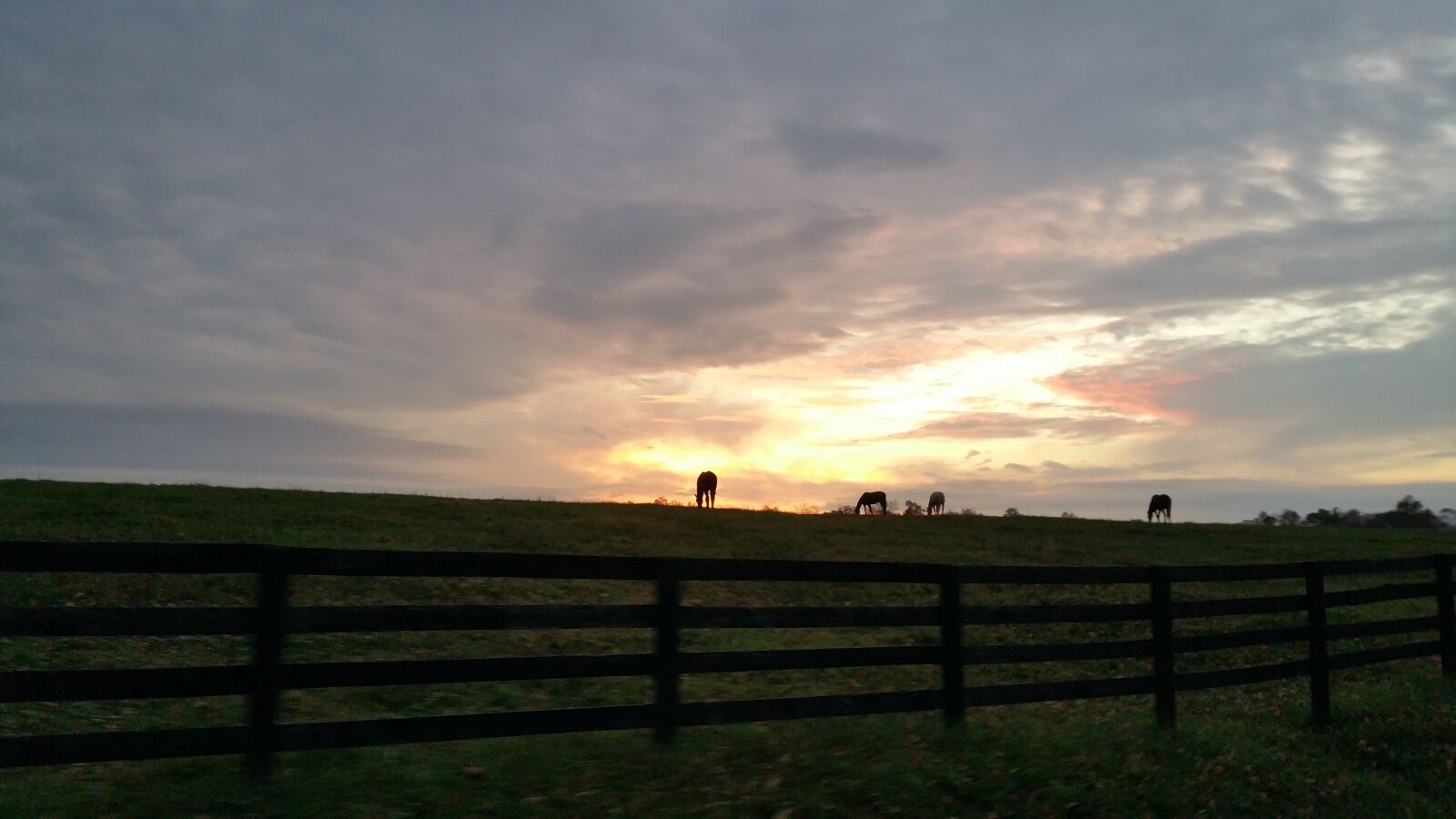 Samsung Galaxy Note4 sample photo. Fence, horses, sky photography