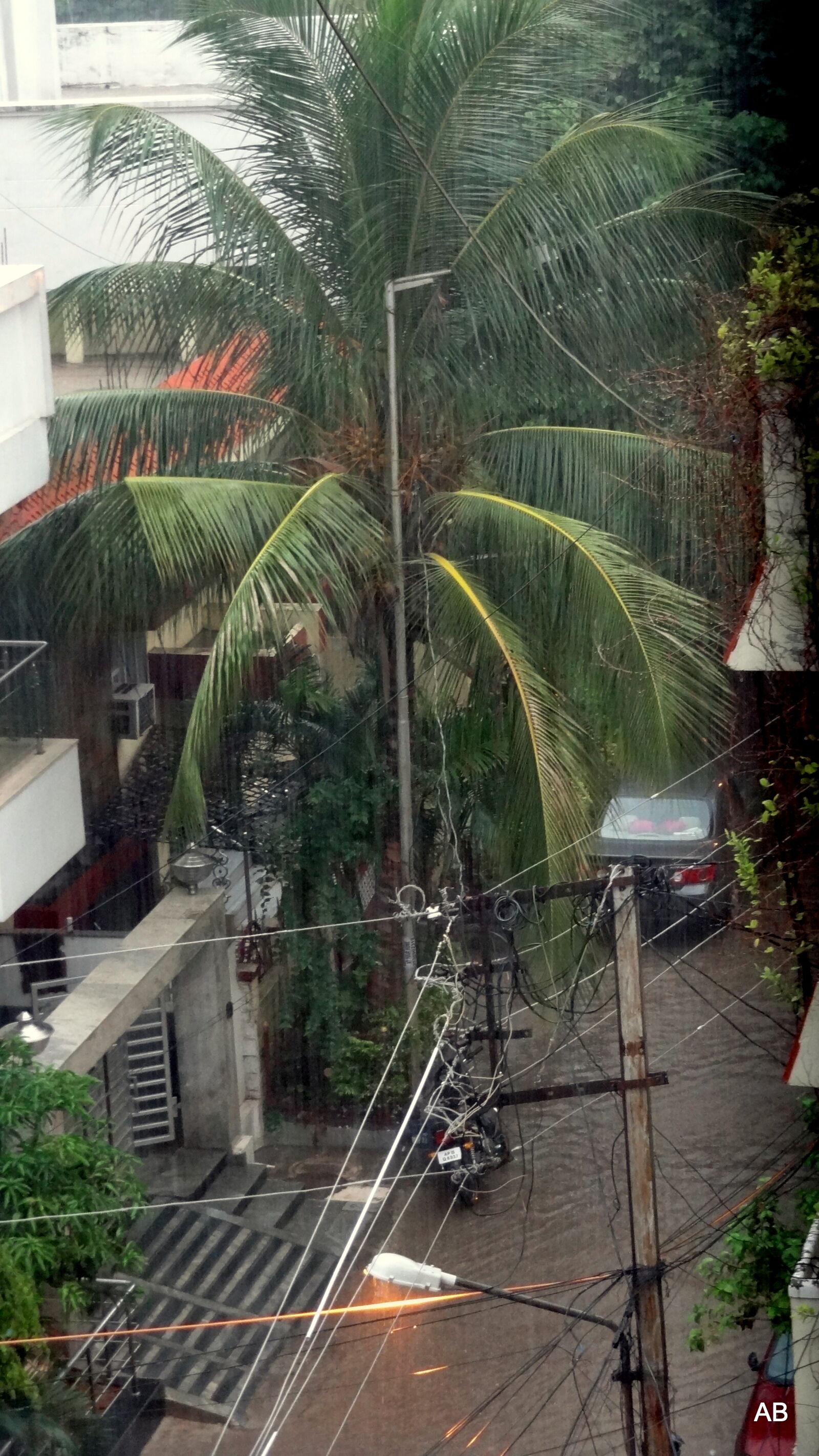 Sony Cyber-shot DSC-HX9V sample photo. Palm, trees, against, building photography