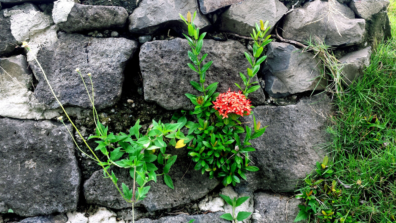 Samsung Galaxy S4 sample photo