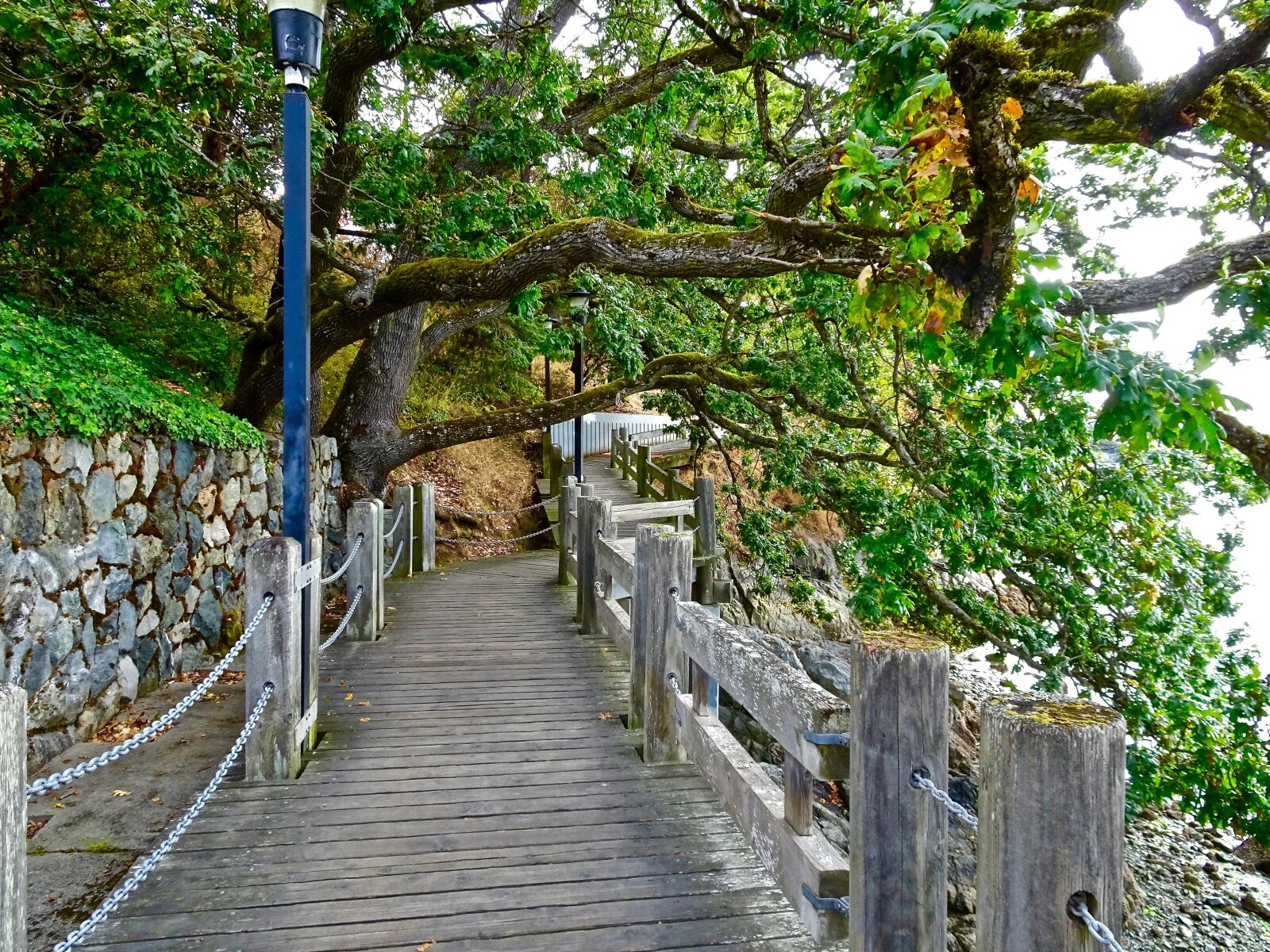 Sony Cyber-shot DSC-HX90V sample photo. Walkway, path, victoria photography