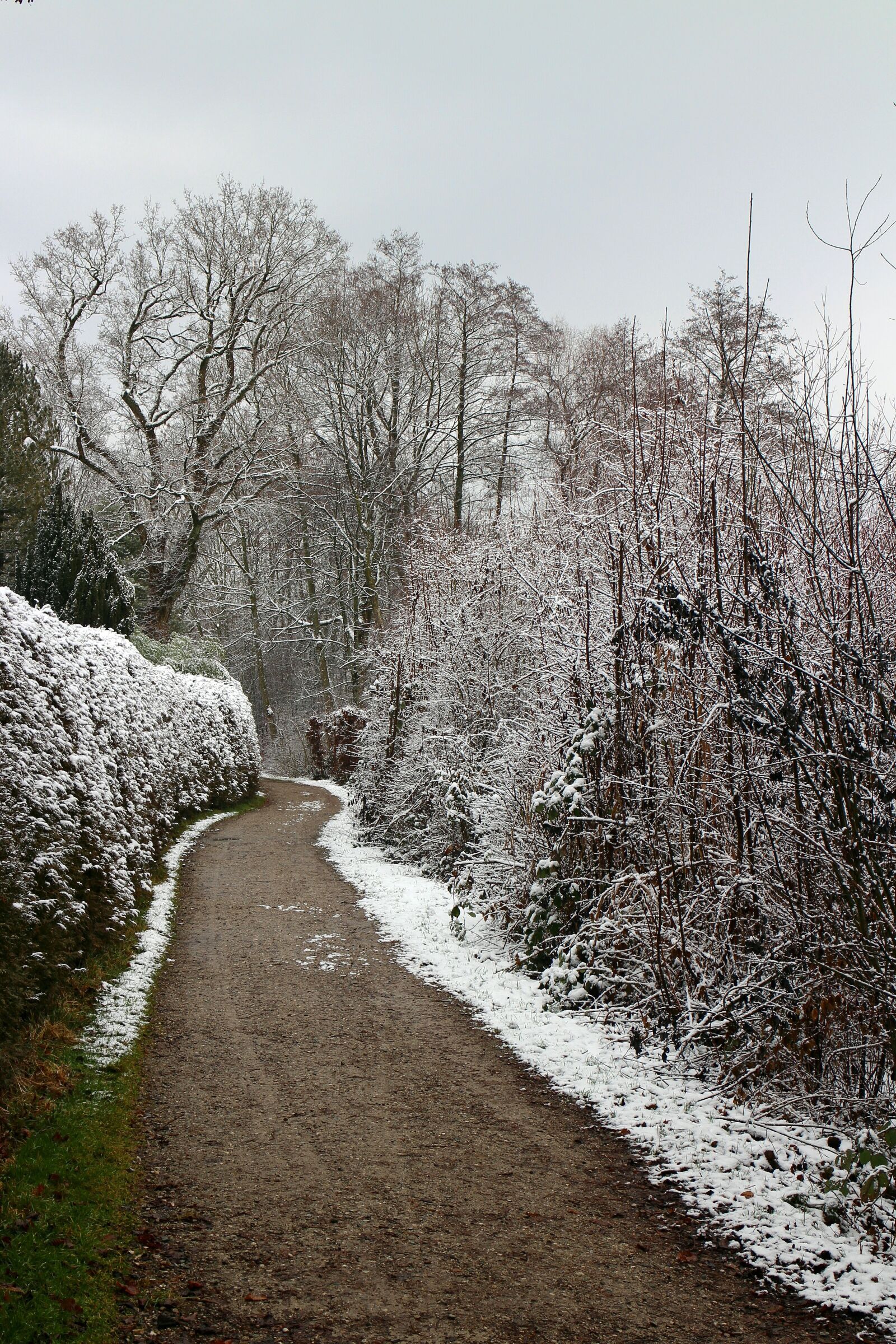 Canon EOS M sample photo. Away, winter, trees photography