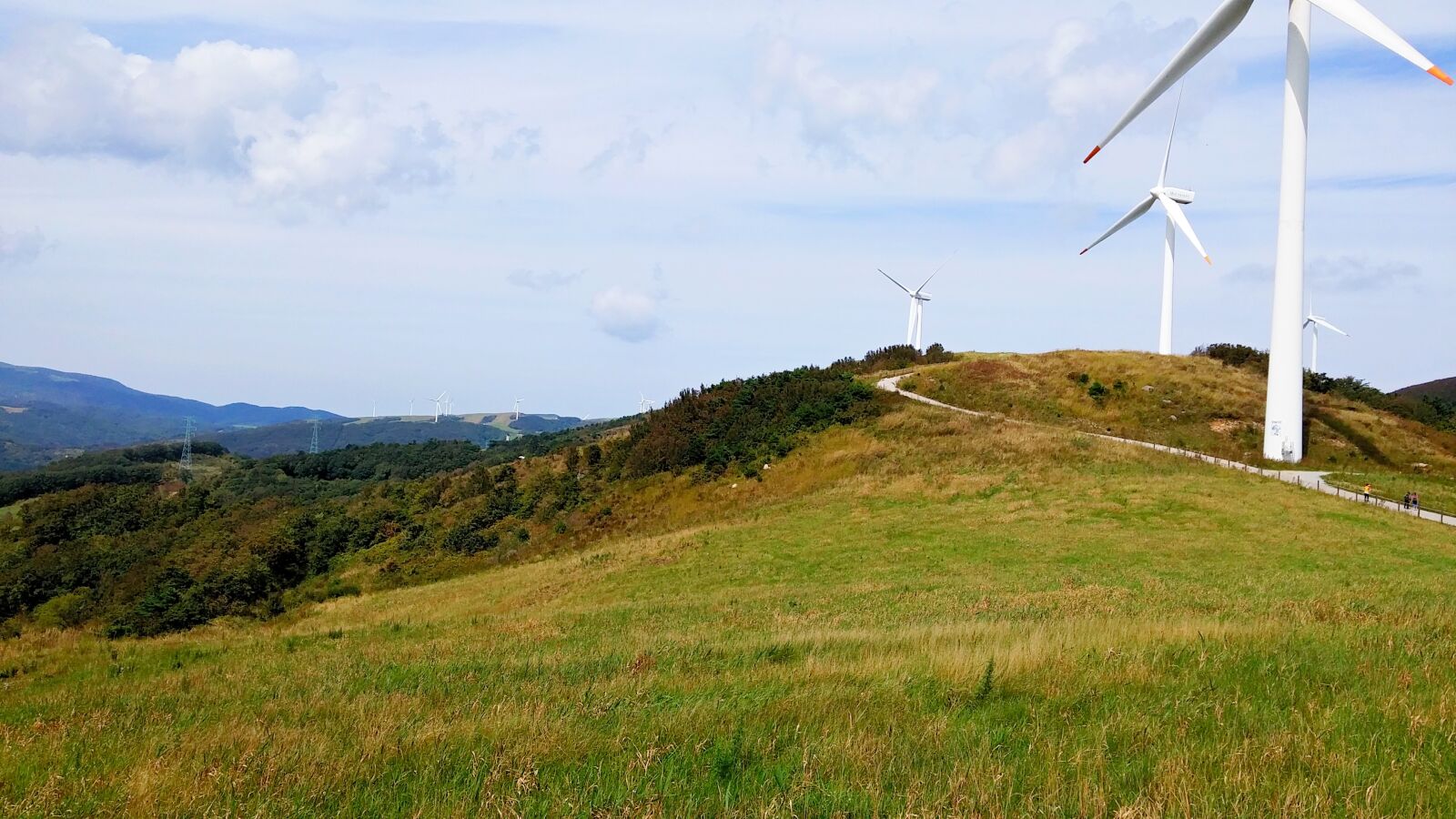 LG G3 CAT.6 sample photo. Wind power generator, daegwallyeong photography