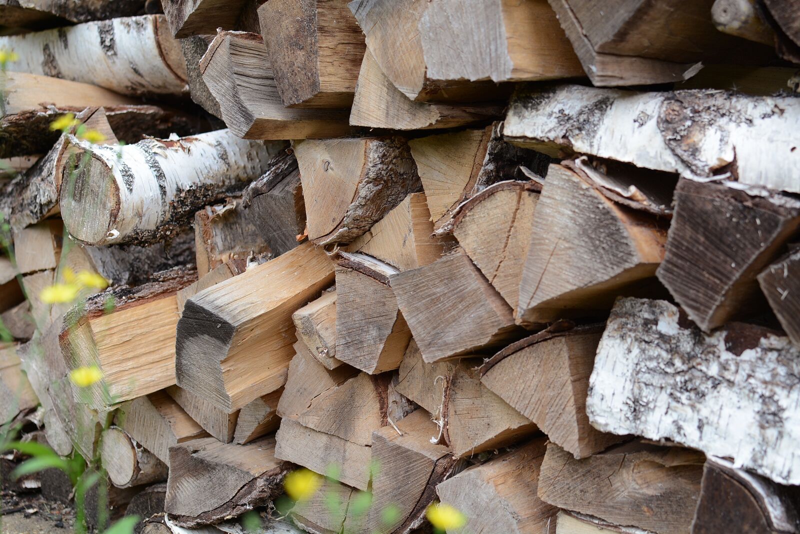 Nikon D7100 sample photo. Wood, nature, firewood photography