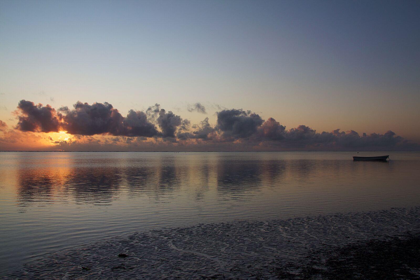 Canon EOS 600D (Rebel EOS T3i / EOS Kiss X5) sample photo. Tanzania, zanzibar, africa photography