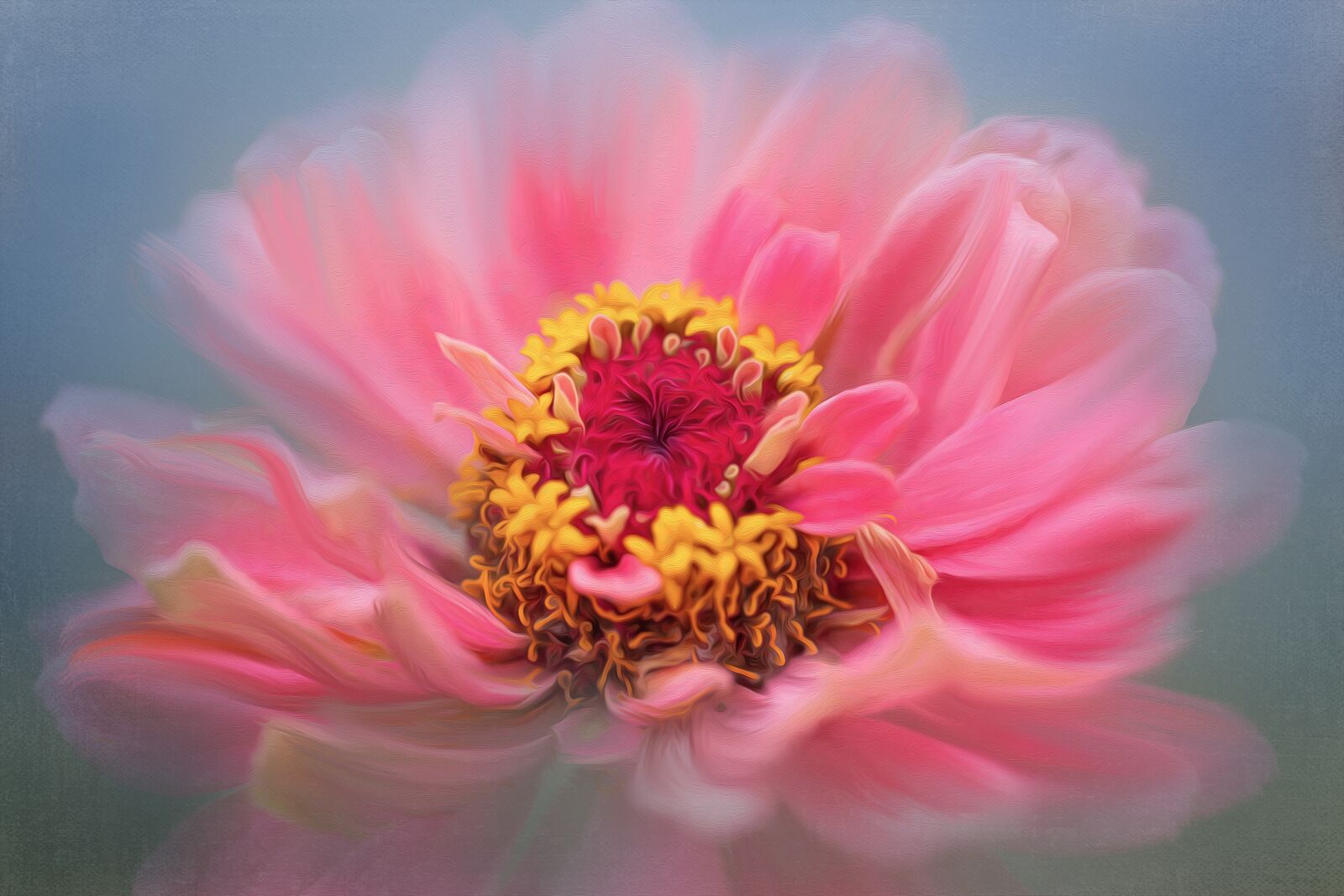 Canon EF 100mm F2.8L Macro IS USM sample photo. Peony, floral, spring photography