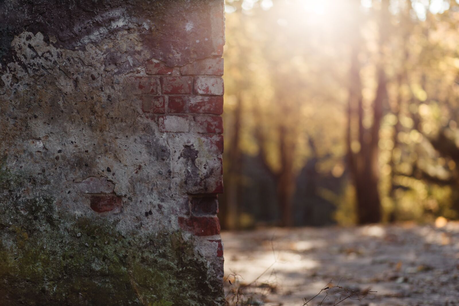 Canon EF 85mm F1.8 USM sample photo. City, architecture, nature photography