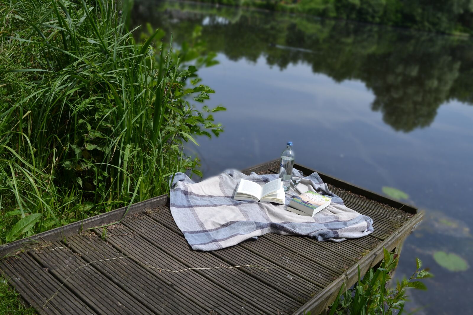 Nikon D3100 sample photo. Book, picnic, park photography