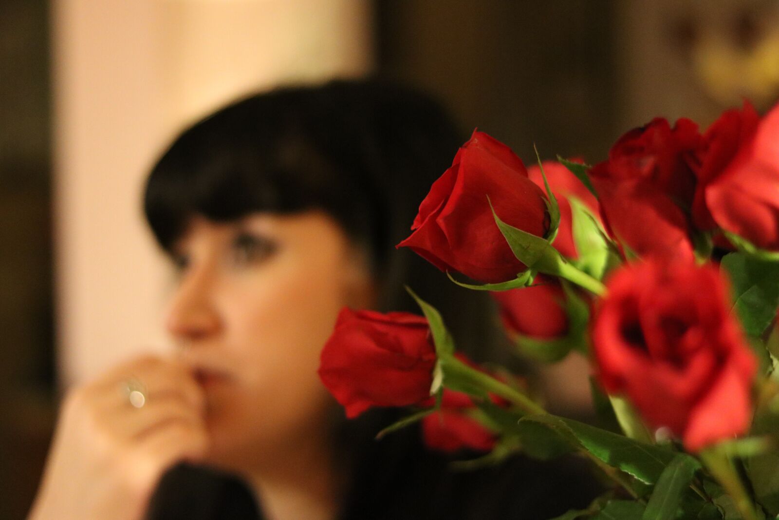 Canon EOS 750D (EOS Rebel T6i / EOS Kiss X8i) sample photo. Roses, female, girl photography