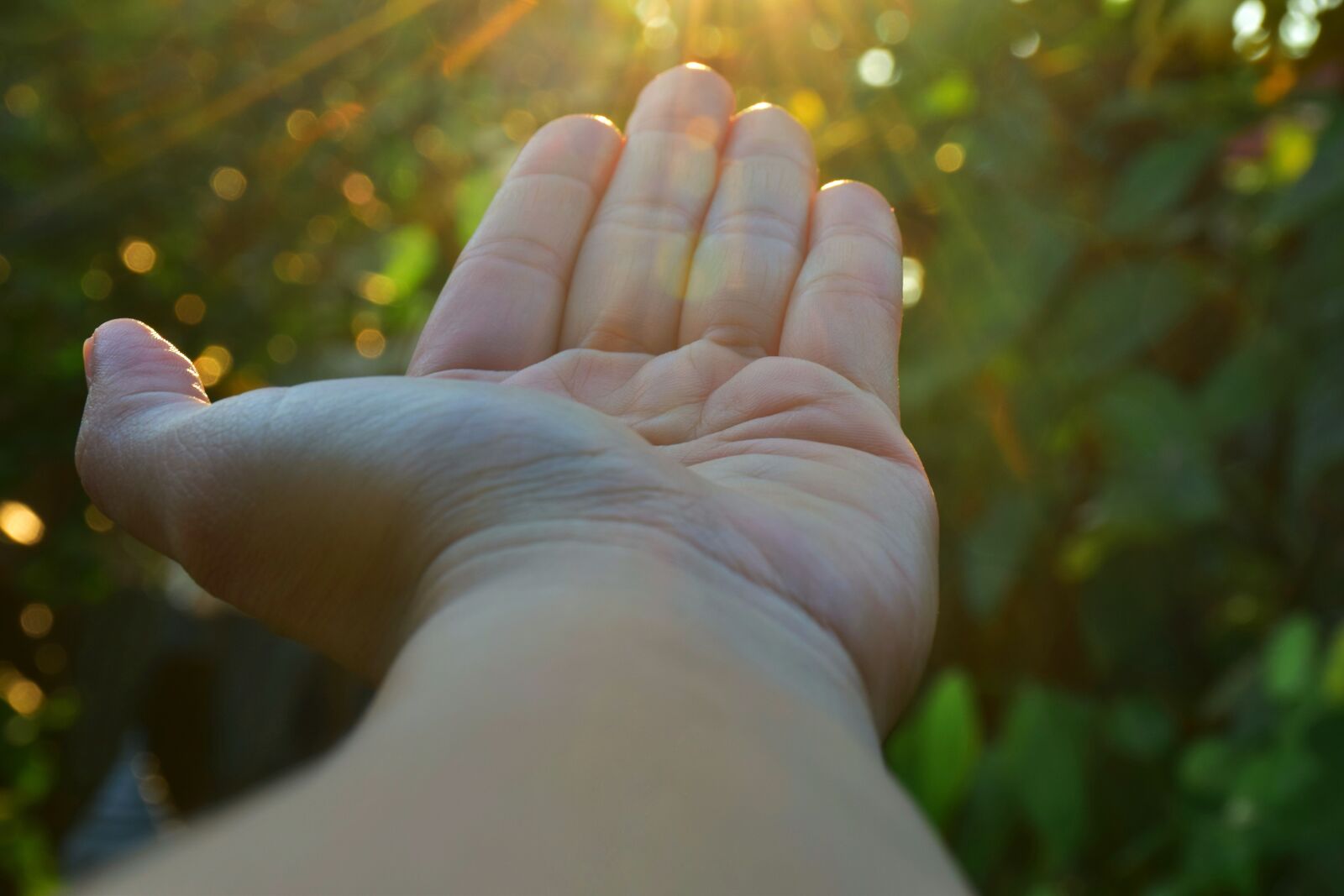 Nikon D5300 sample photo. Hands, morning, people photography