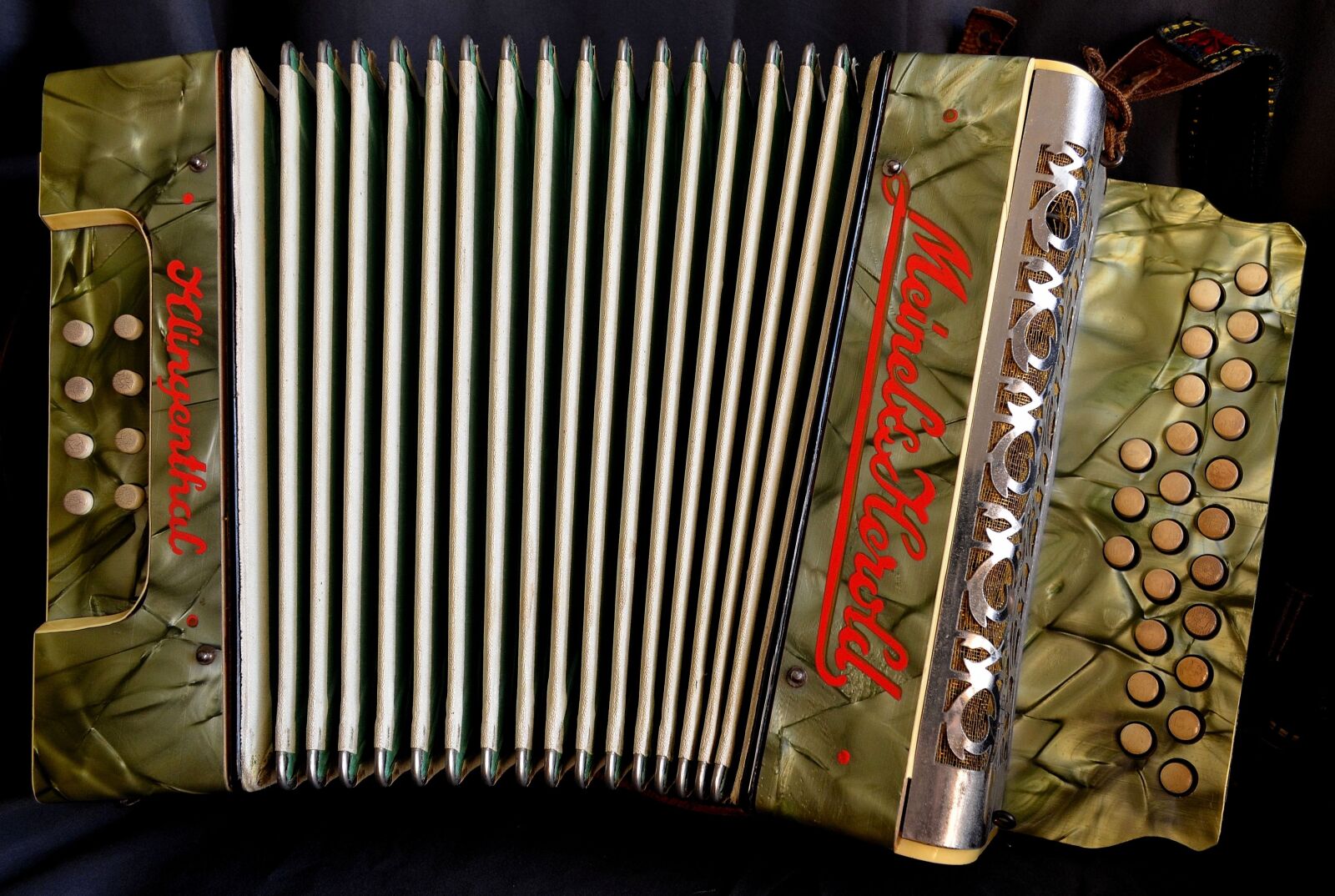 Nikon D5100 sample photo. Accordion, ziehamonika, schifferklavier photography