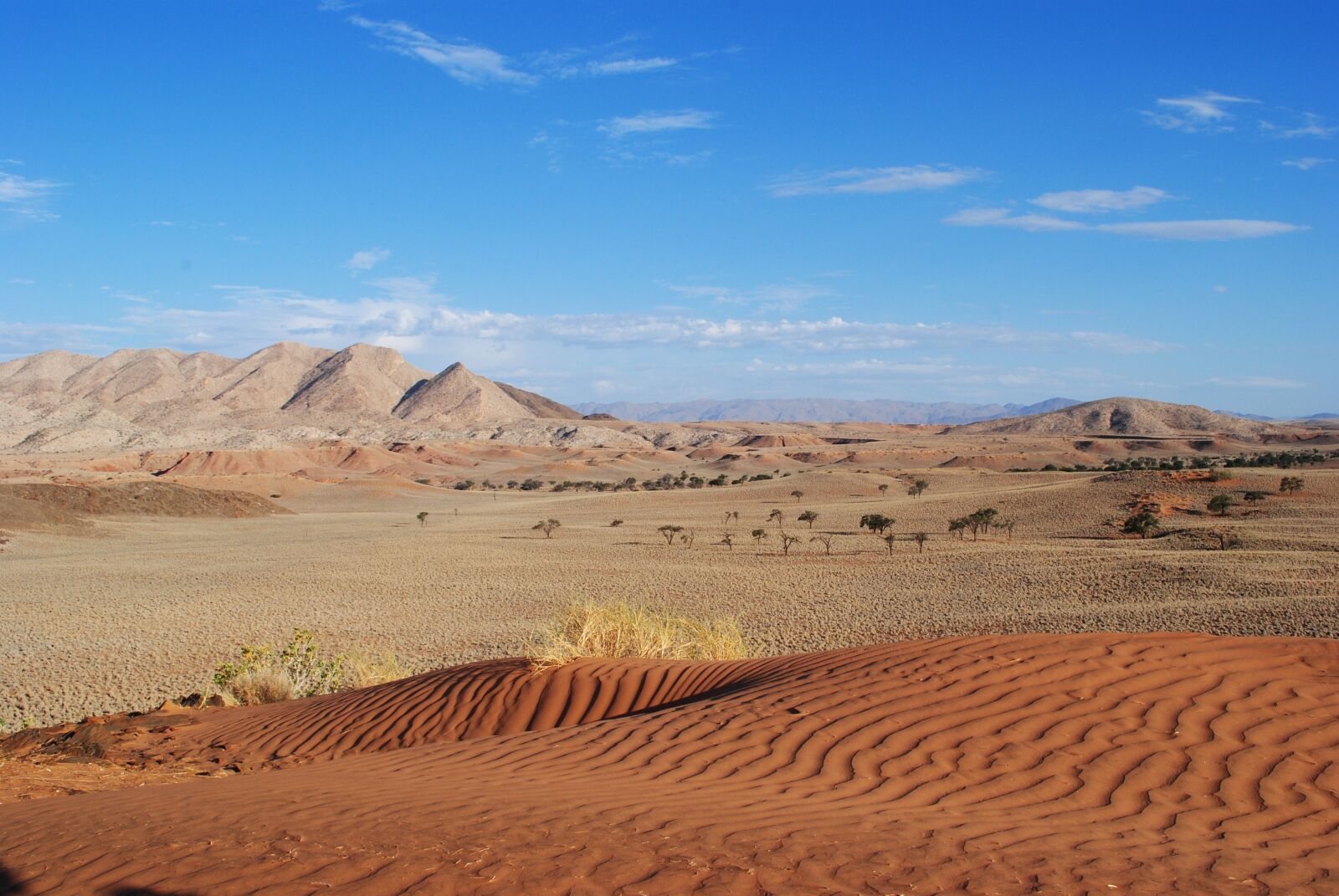 Nikon D3000 sample photo. Namibia, africa, desert photography