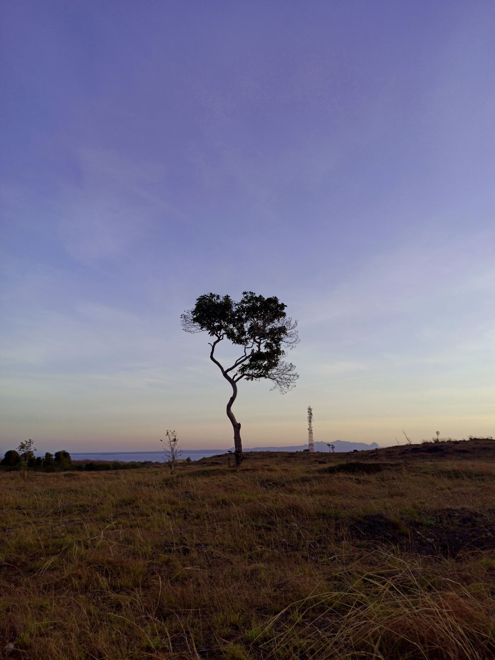 Xiaomi Redmi Note 8 Pro sample photo. Tree, sky, nature photography