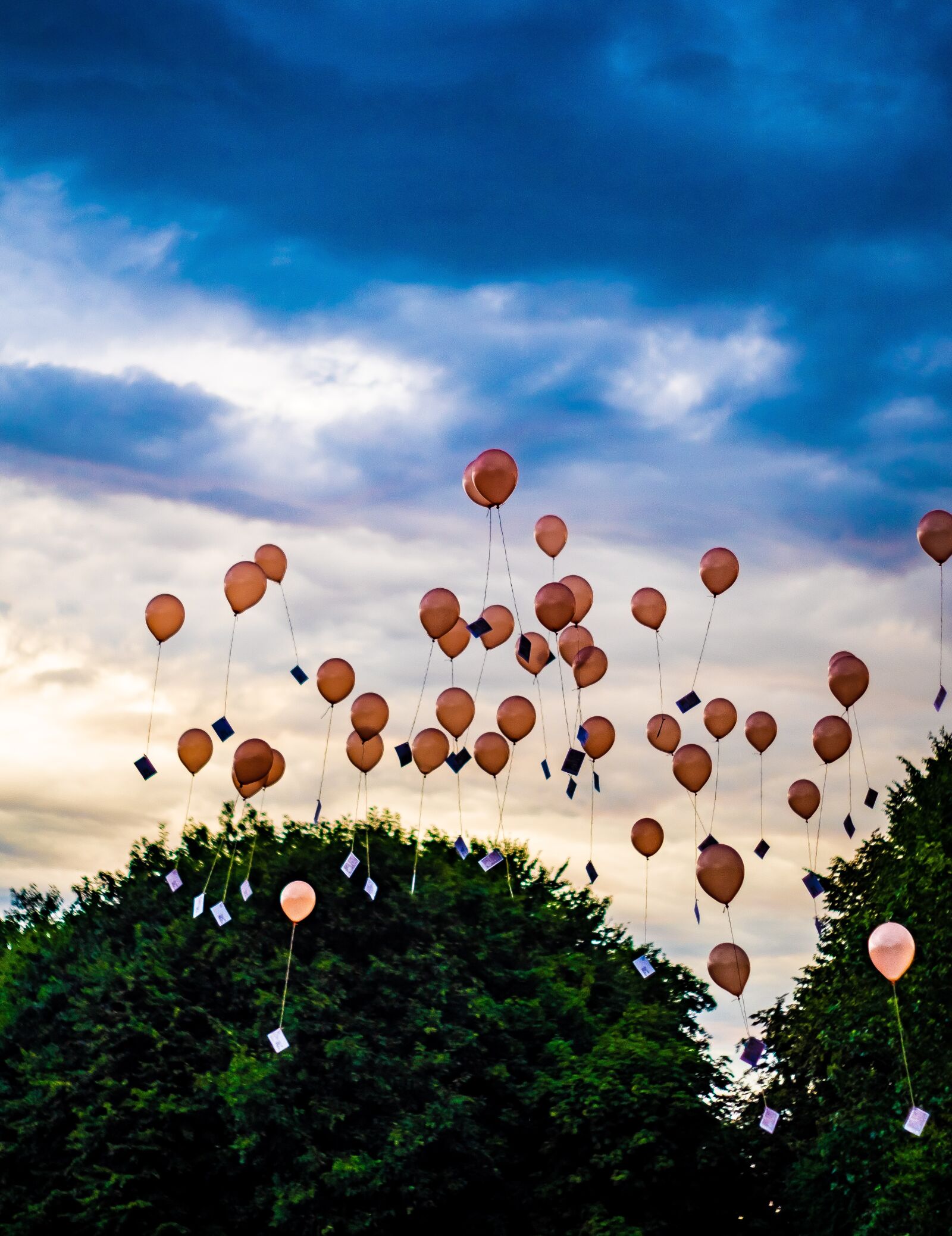 Fujifilm X-T10 sample photo. Birthday party, letting go photography