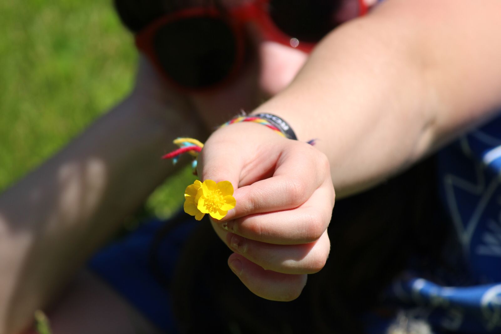 Canon EOS 700D (EOS Rebel T5i / EOS Kiss X7i) sample photo. Buttercup, meadow, hand photography