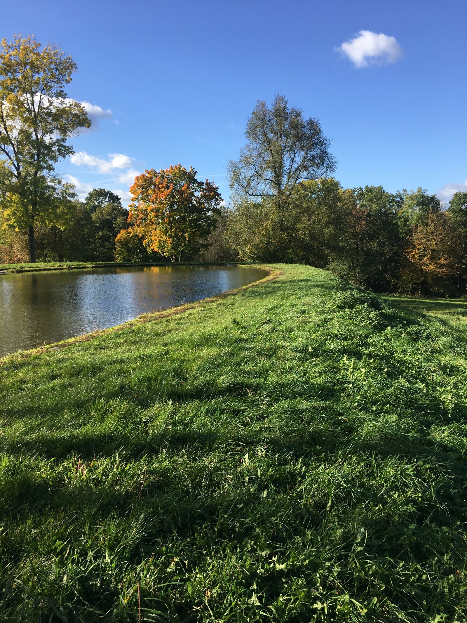Apple iPhone 6s Plus sample photo. Autumn, autumn weather, autumn photography