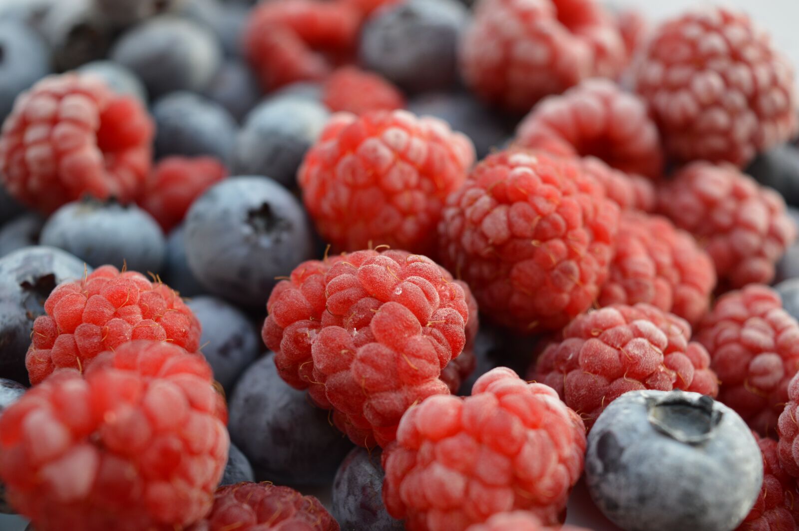 Nikon D3200 sample photo. Raspberries, blueberries, berries photography