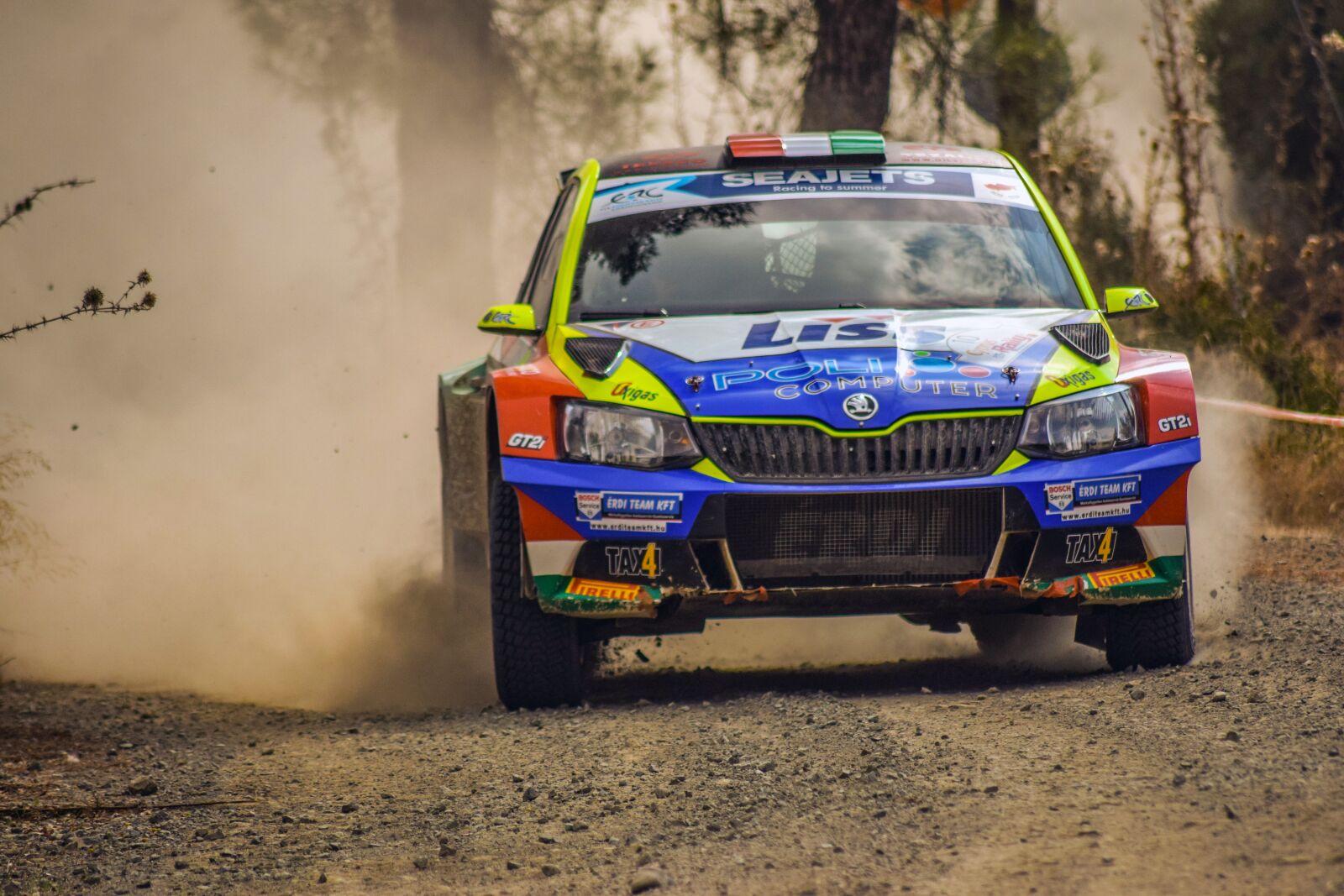 Nikon D3300 sample photo. Car, rally, auto photography