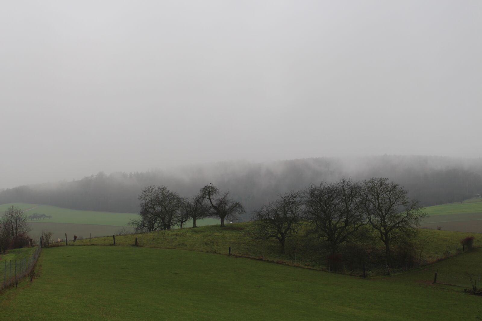 Canon EOS 700D (EOS Rebel T5i / EOS Kiss X7i) sample photo. Rain, landscape, nature photography