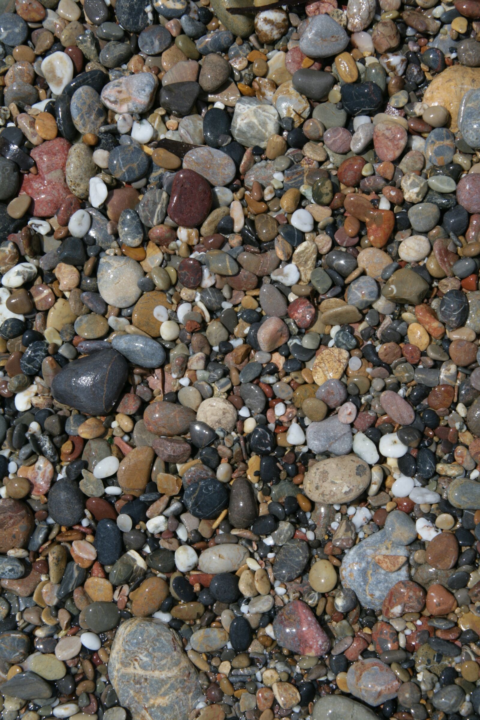 Canon EOS-1Ds Mark II sample photo. Stones, pebble, beach photography