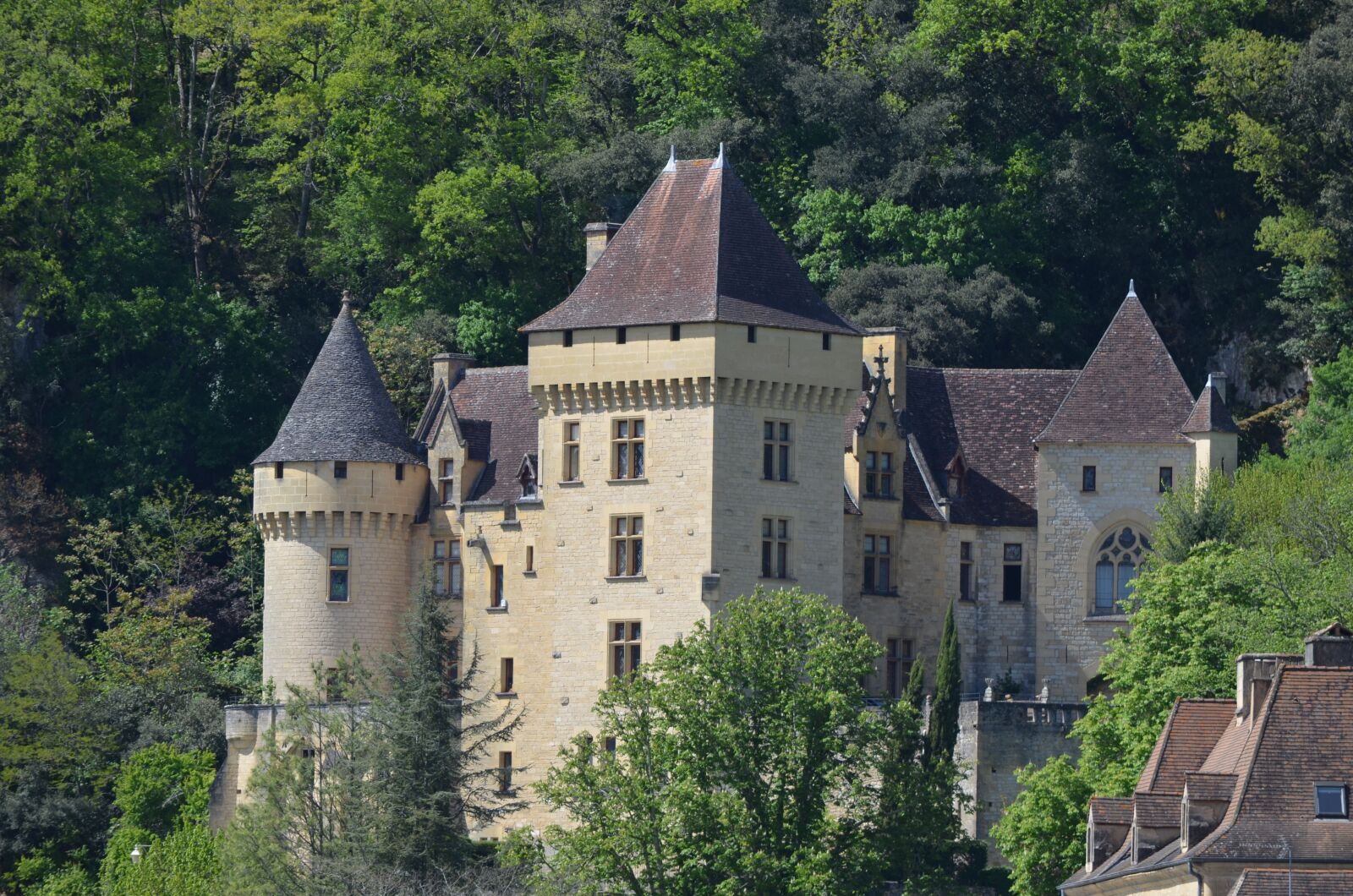 Nikon D5100 sample photo. Castle, france, dordogne photography