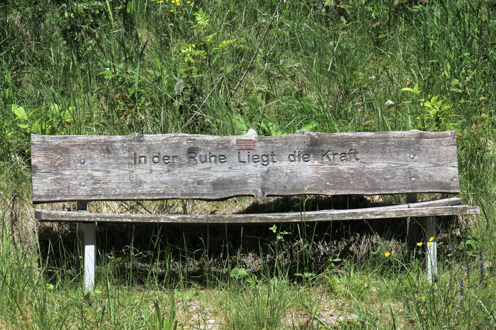 Canon EOS 60D + Tamron 16-300mm F3.5-6.3 Di II VC PZD Macro sample photo. Bank, wooden bench, bench photography