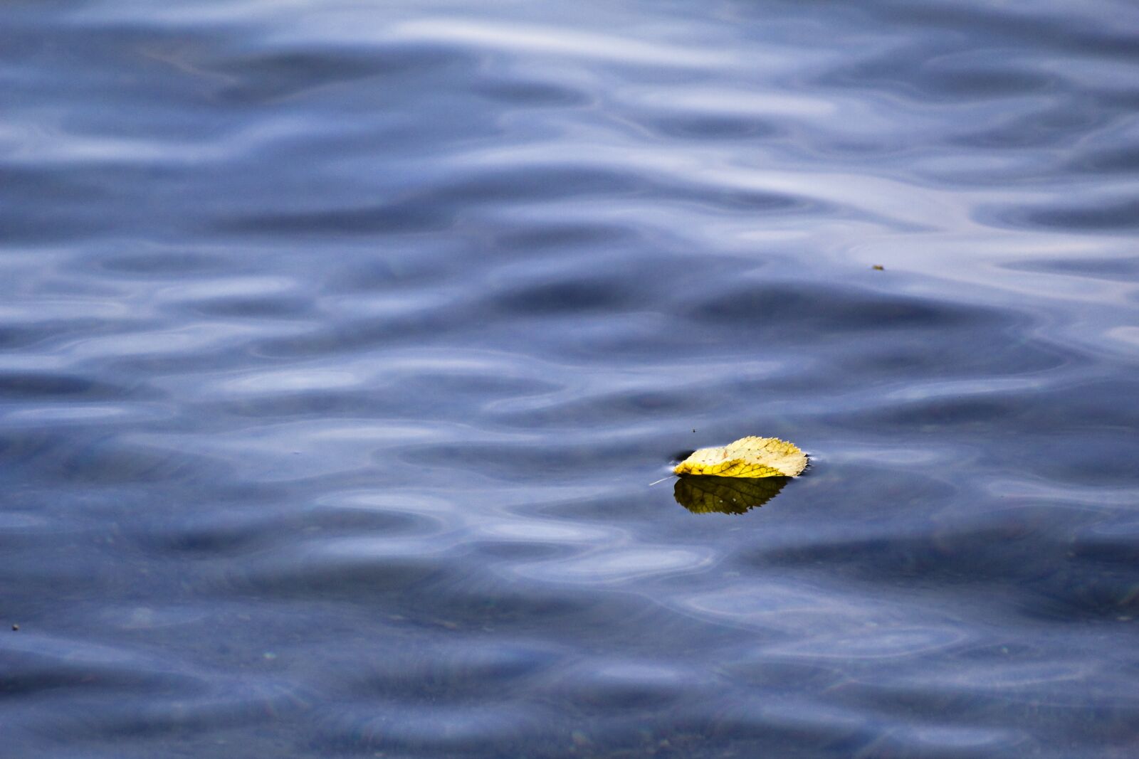 Canon EOS 600D (Rebel EOS T3i / EOS Kiss X5) sample photo. Lake, water, sheet in photography