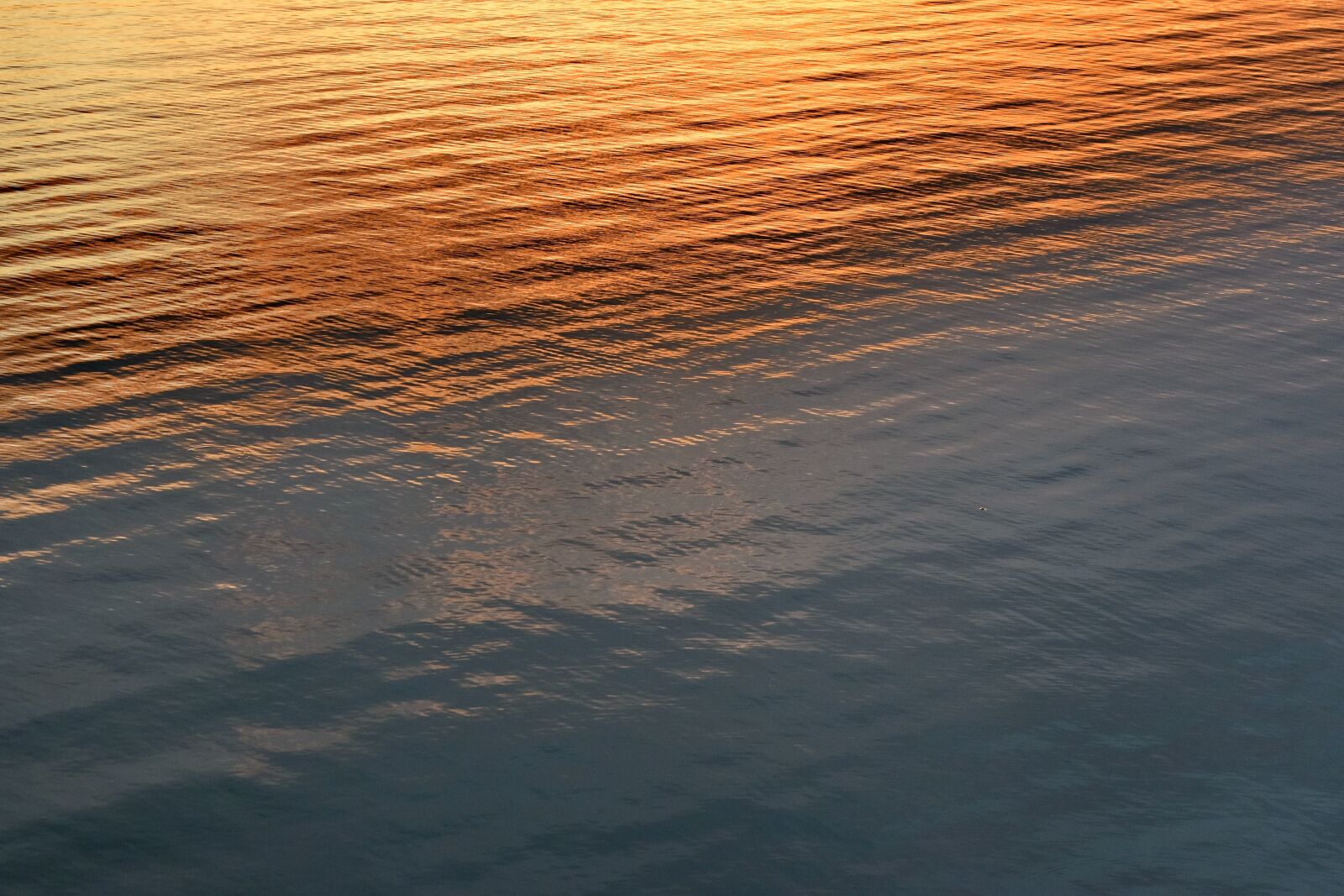 Nikon D5500 sample photo. Horizon, sunset, waves, water photography