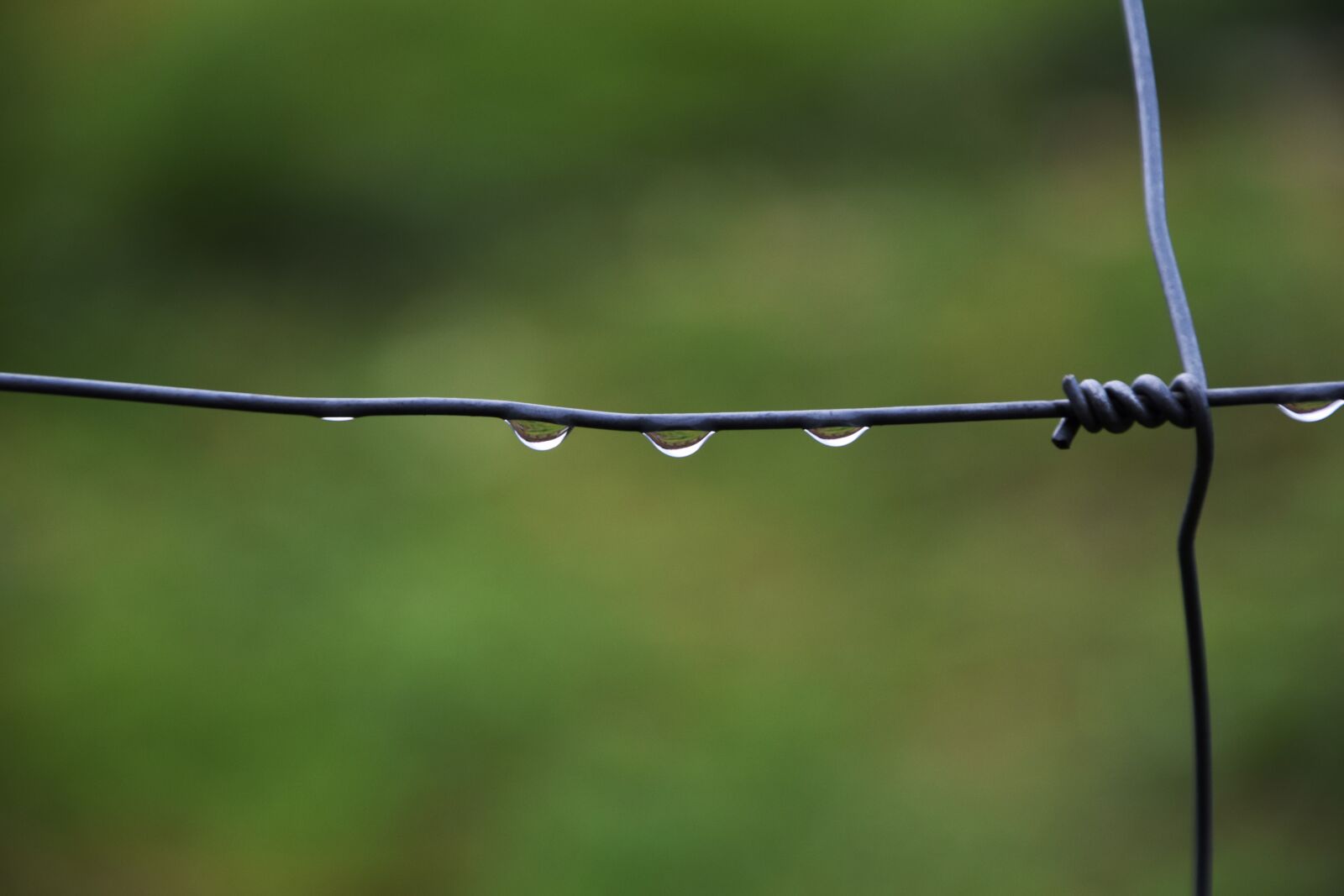 Nikon D3300 sample photo. Drip, wet, water photography