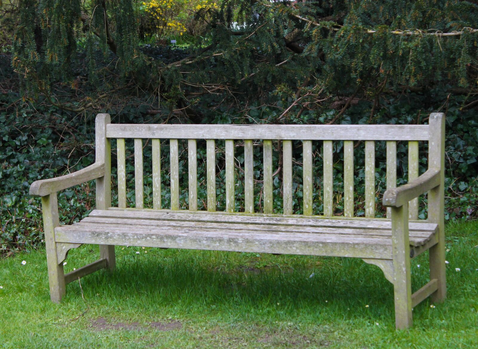 Canon EOS 1100D (EOS Rebel T3 / EOS Kiss X50) sample photo. Chair, sit, park photography