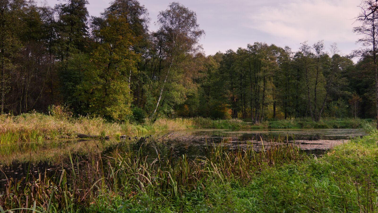 Panasonic Lumix DMC-FZ1000 sample photo. Pond, foliage, autumn photography