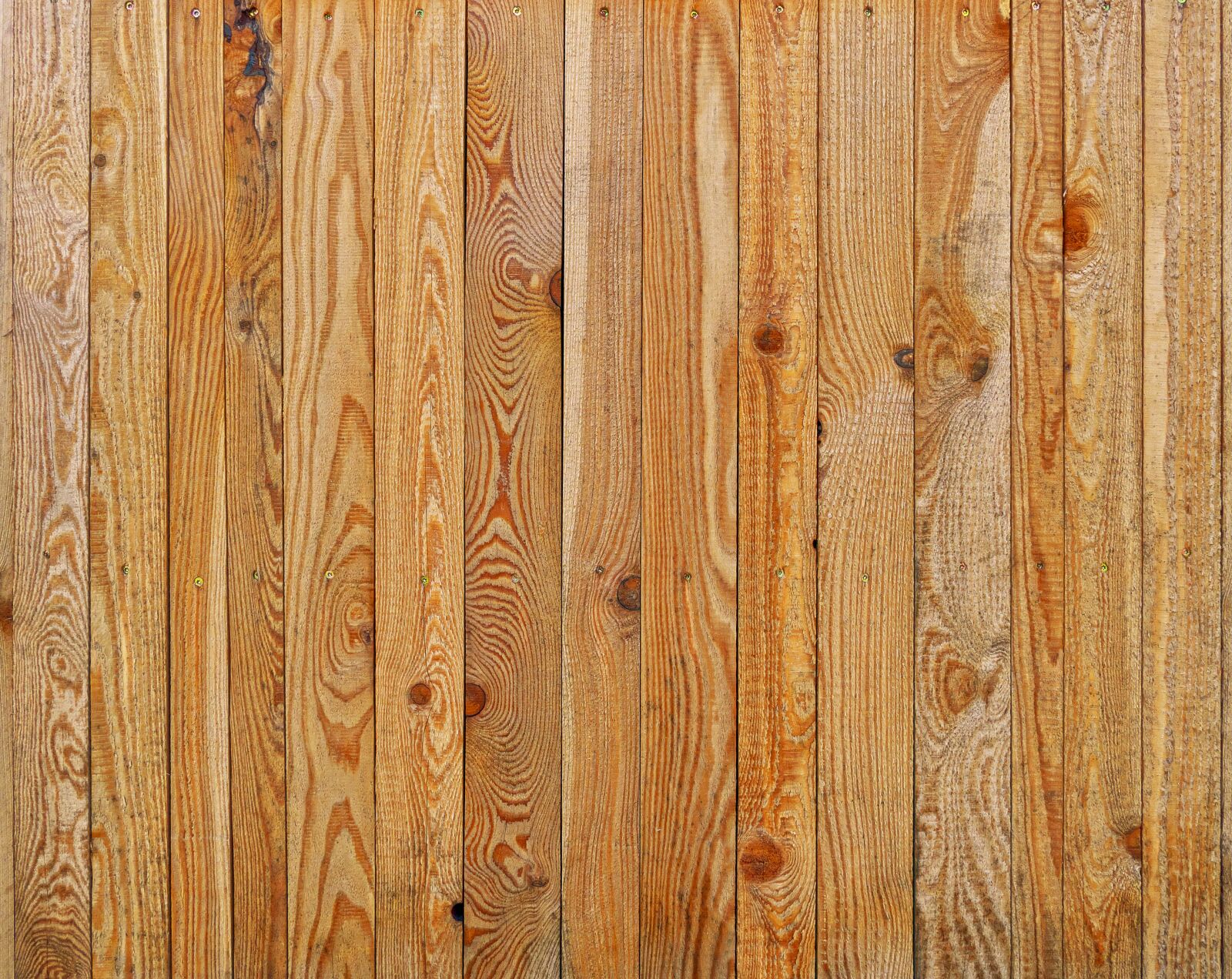 Panasonic Lumix DMC-FZ1000 sample photo. Wood, boards, branches photography