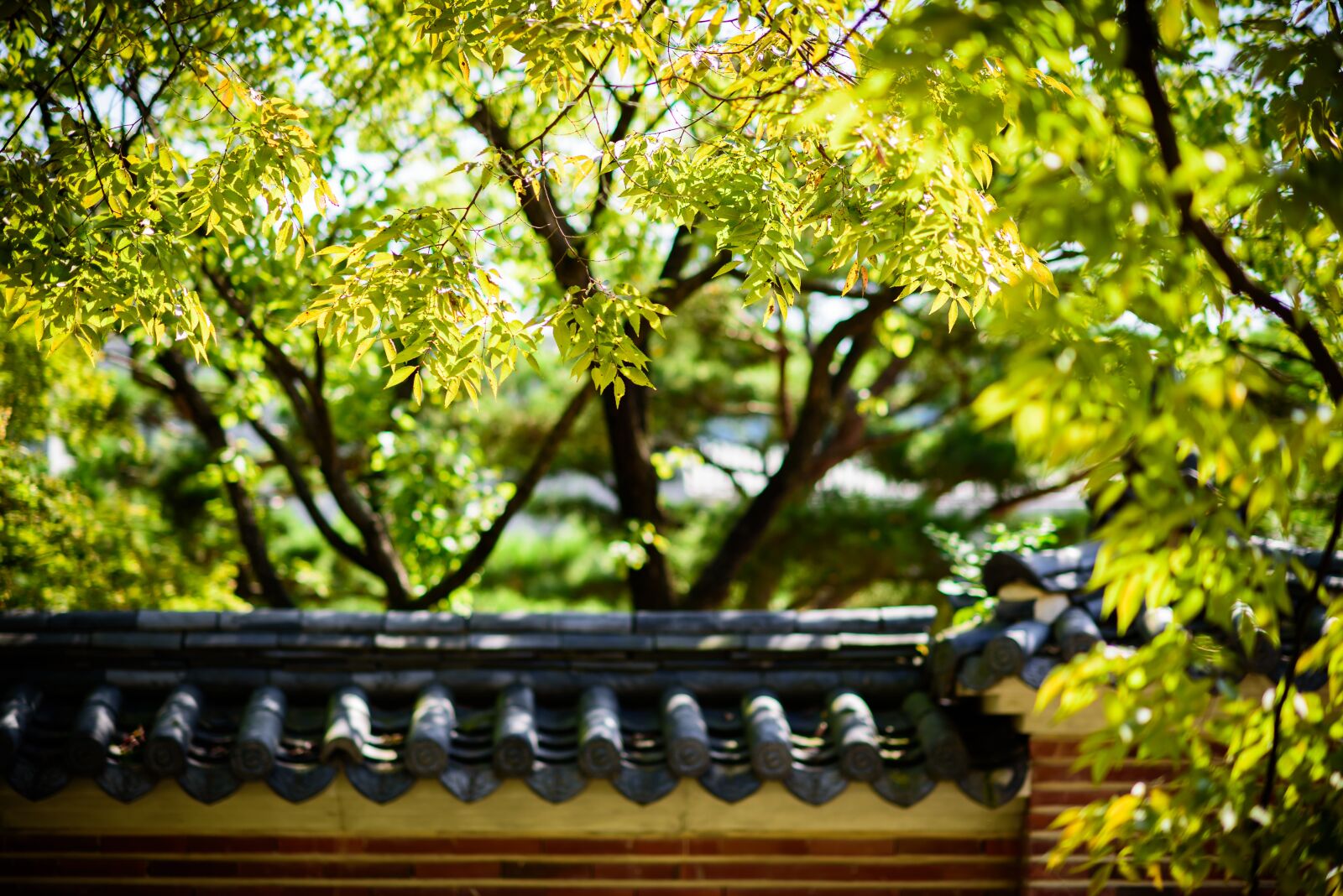 Nikon D750 sample photo. In autumn, autumn, autumn photography