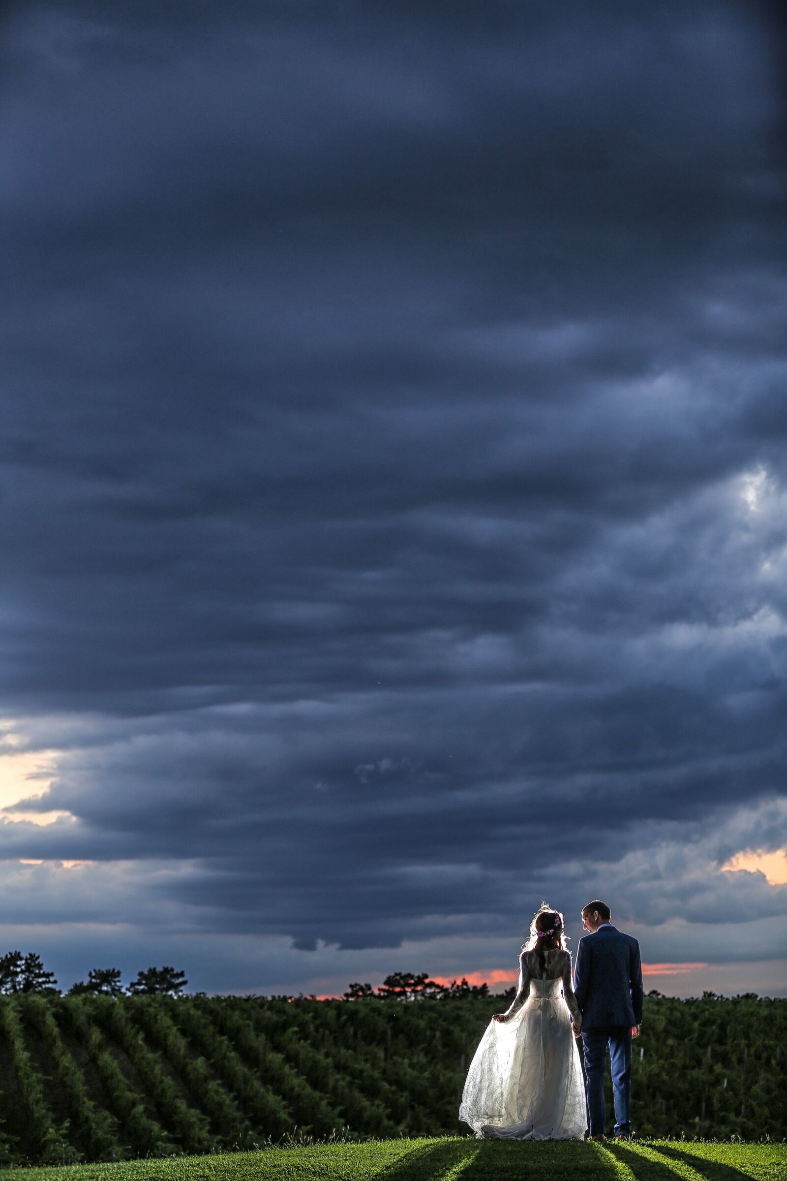 Canon EF 70-200mm F2.8L IS II USM sample photo. Hilltop, panorama, vineyard, bride photography