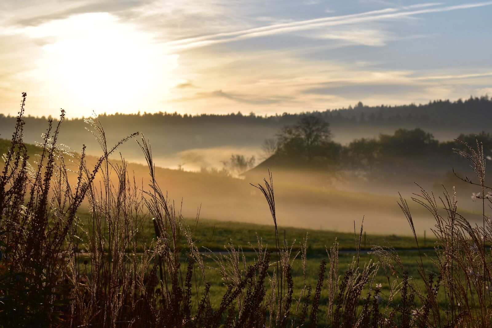 Nikon D5500 sample photo. Landscape, fog, morgenstimmung photography