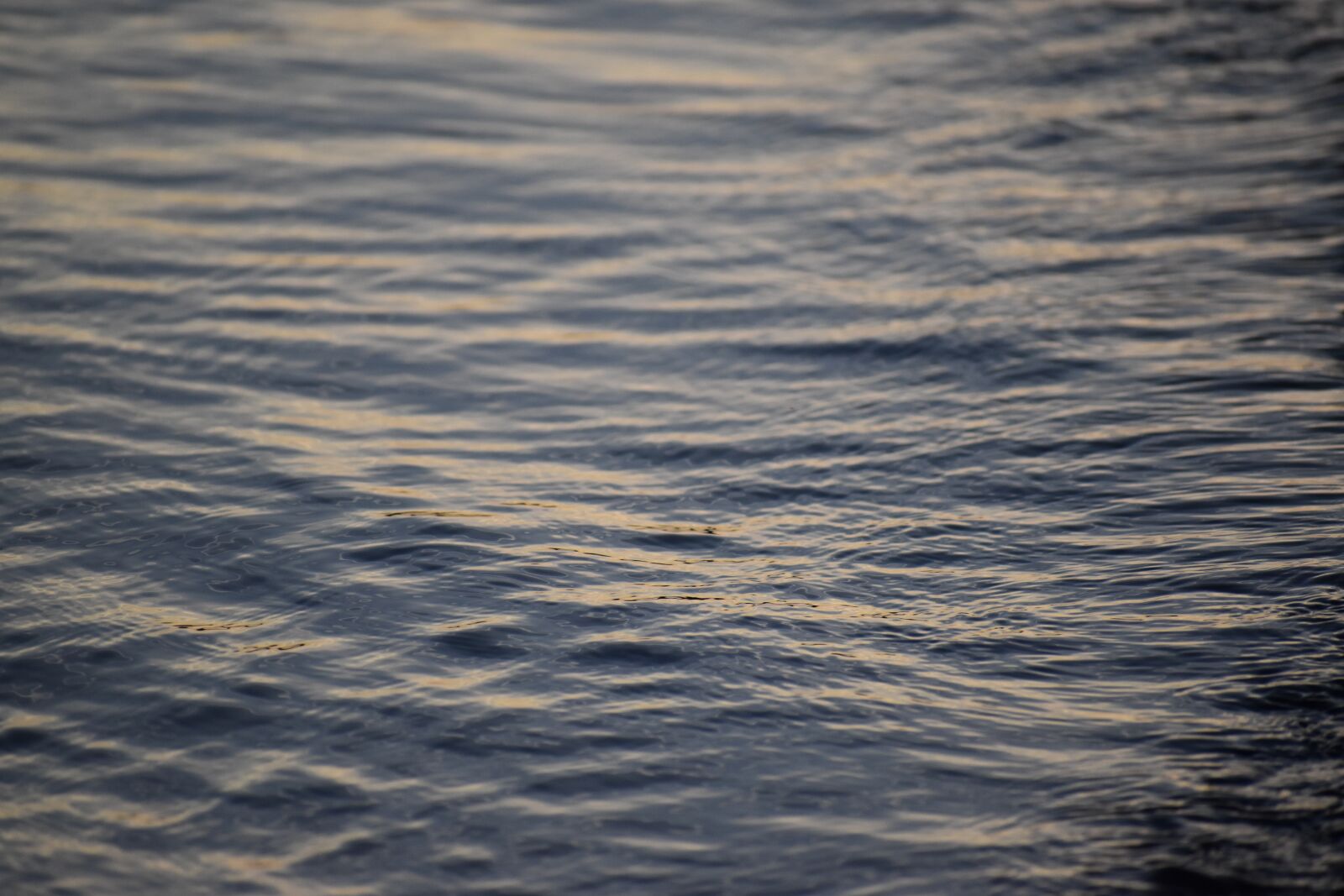 Nikon D3500 sample photo. Water, sunset, sea photography