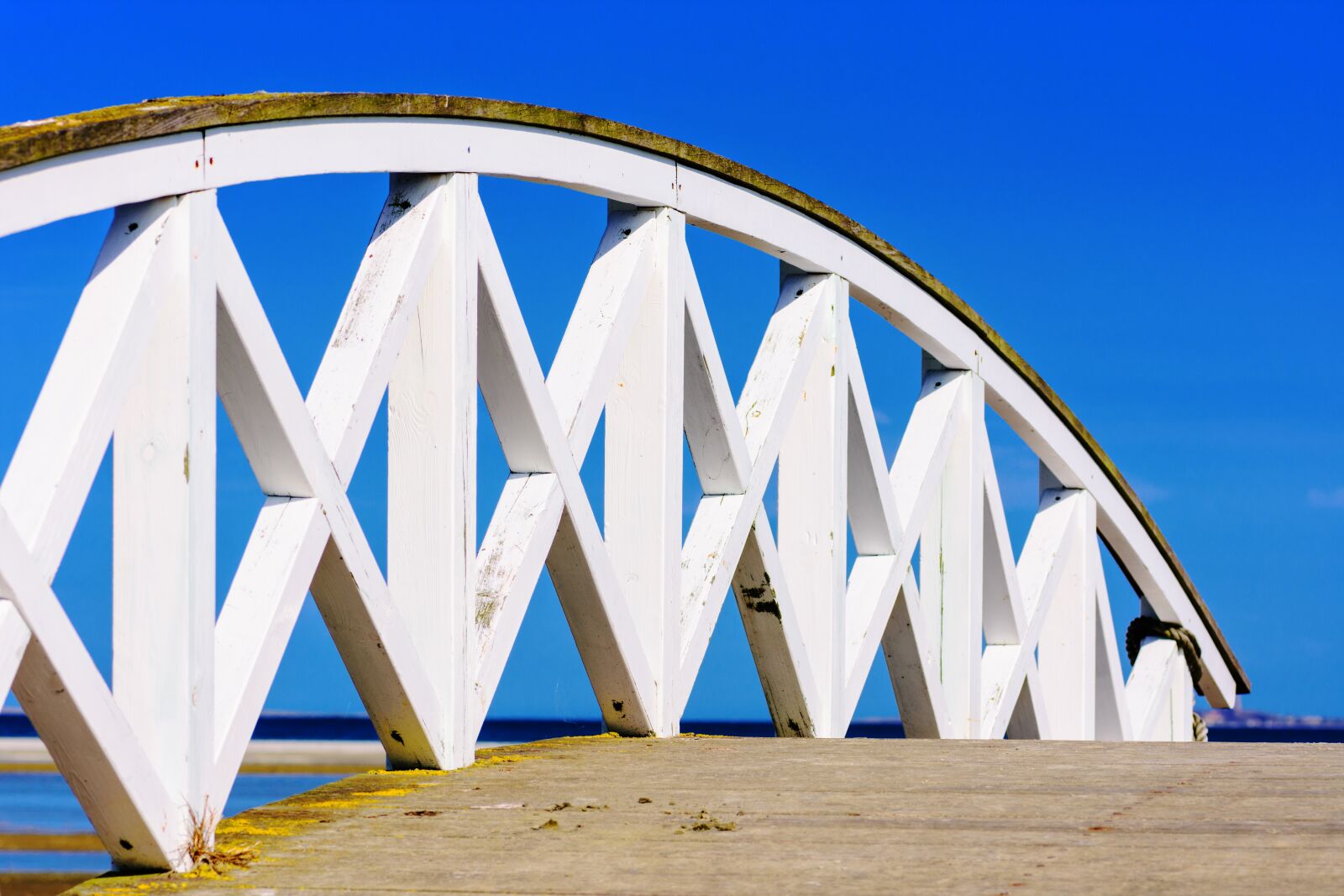 Nikon D7200 sample photo. Bridge, web, away photography