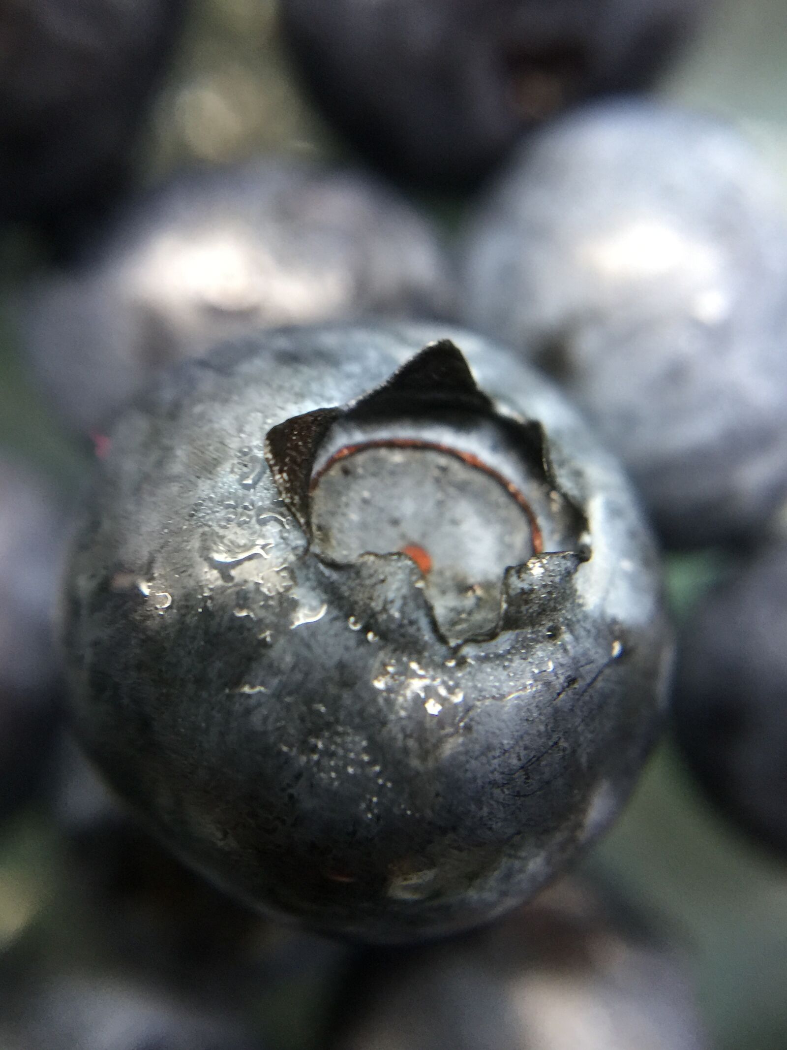 iPhone 6 Plus back camera 4.15mm f/2.2 sample photo. Blue, berry, blueberries photography