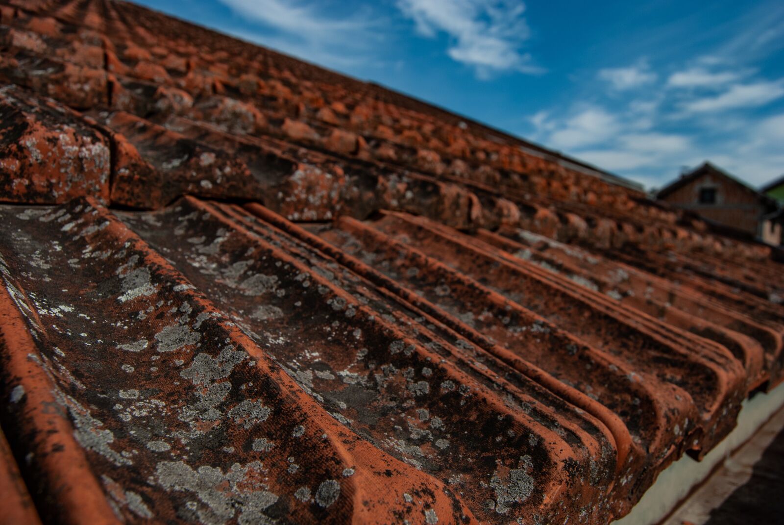 Nikon D60 sample photo. Roof tiles, roof, housetop photography