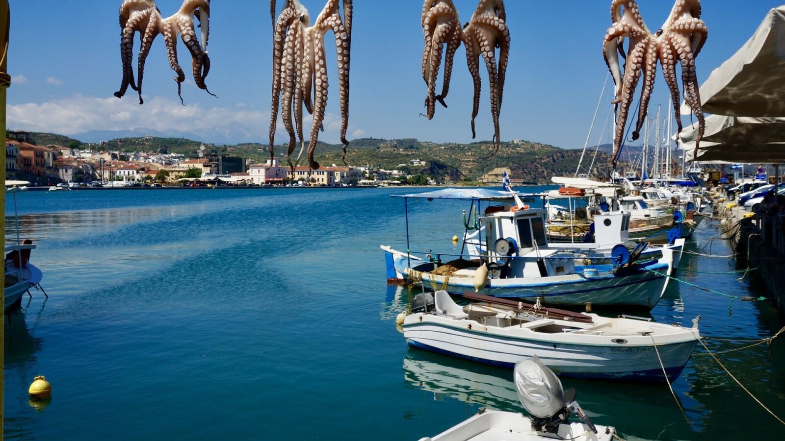 Sony Alpha NEX-5T sample photo. Squid, octopus, boat photography