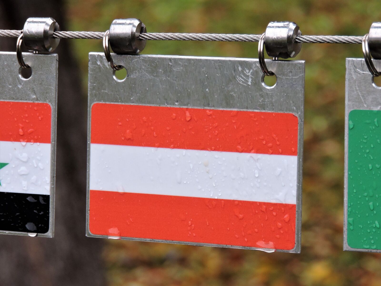 Nikon Coolpix P530 sample photo. Austrian flag, autumn, imst photography