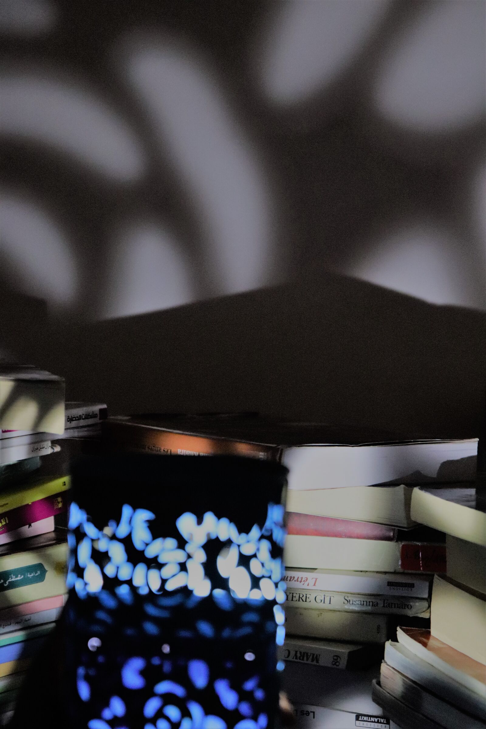 Canon EOS 800D (EOS Rebel T7i / EOS Kiss X9i) sample photo. Night, books, light photography