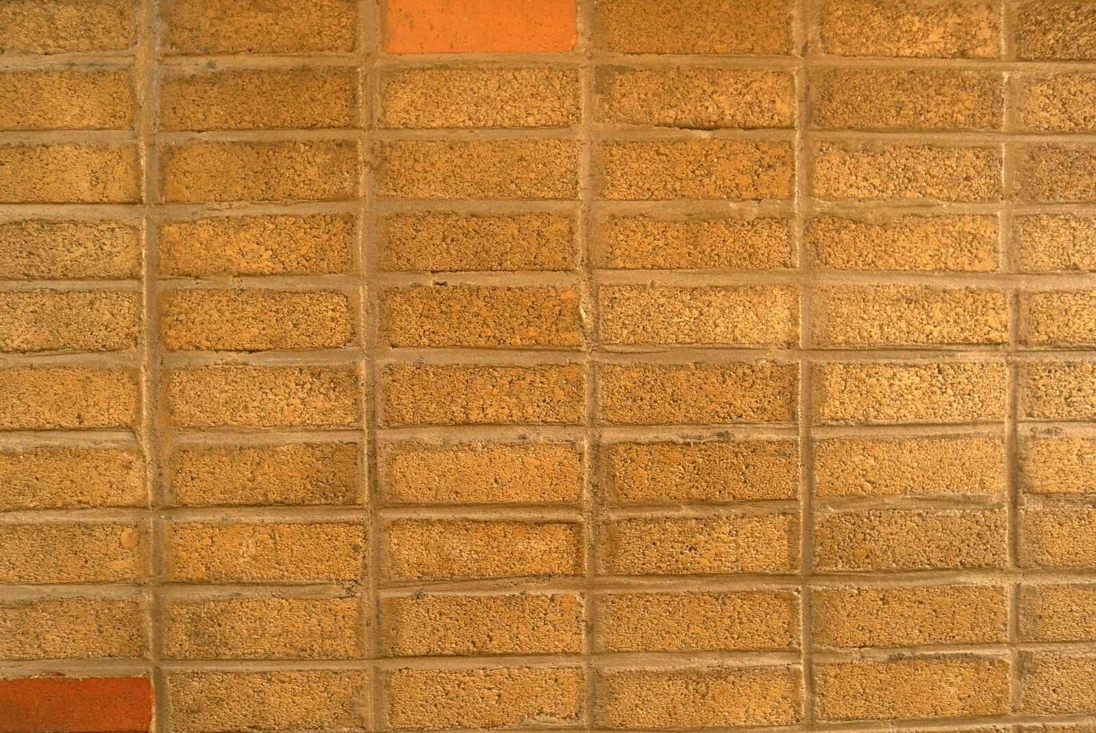 Leica X1 sample photo. Brick, wall, corporation photography