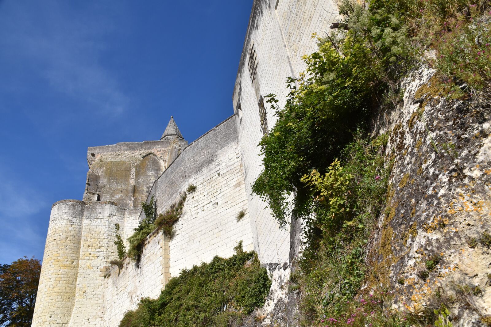 Nikon D5600 sample photo. Castle l ches, ramparts photography