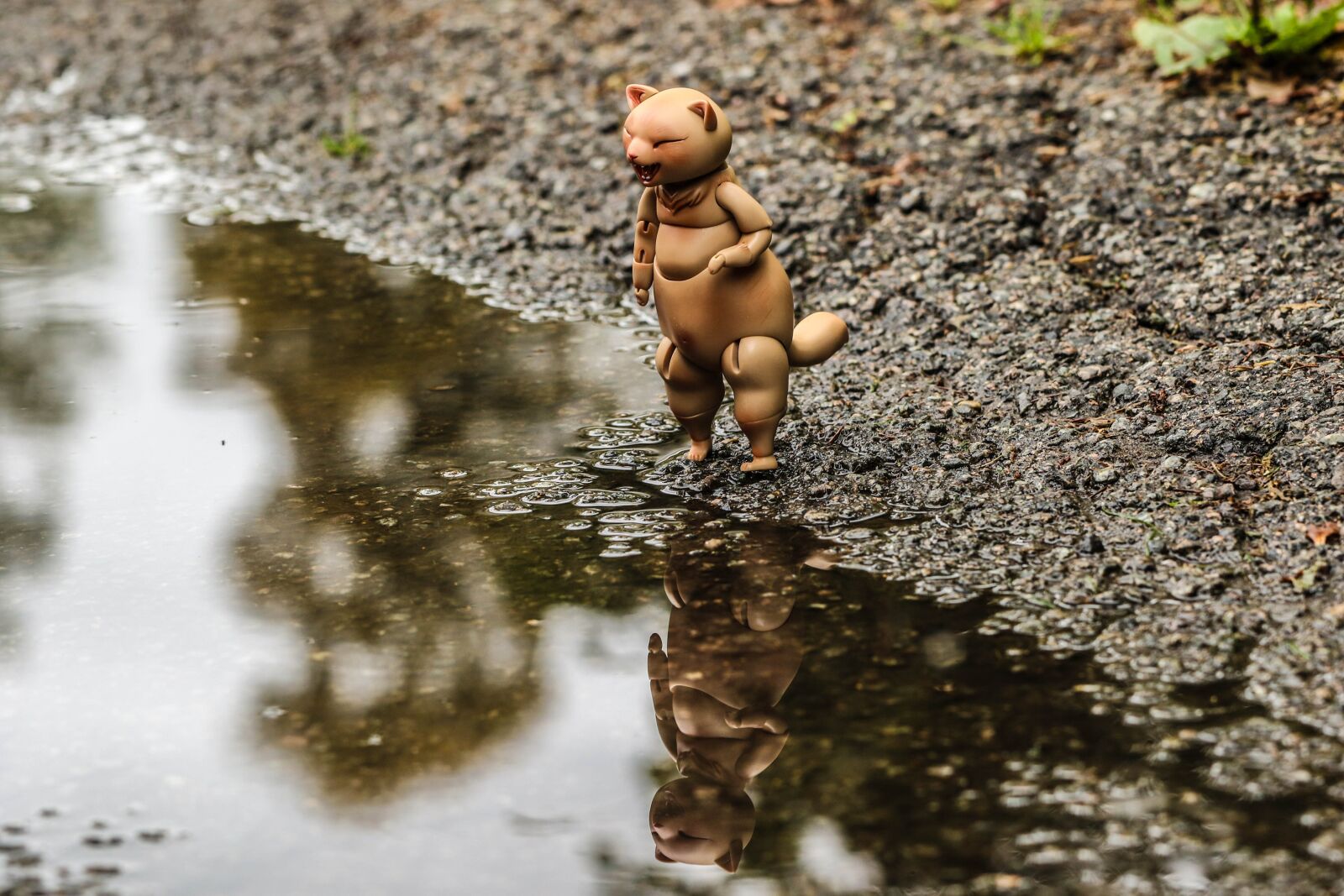 Canon EOS 7D Mark II sample photo. Toy, puddle, water photography