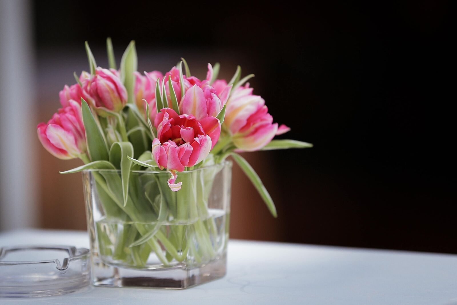 Canon EOS 6D sample photo. Tulips, vase, ashtray, tablecloth photography
