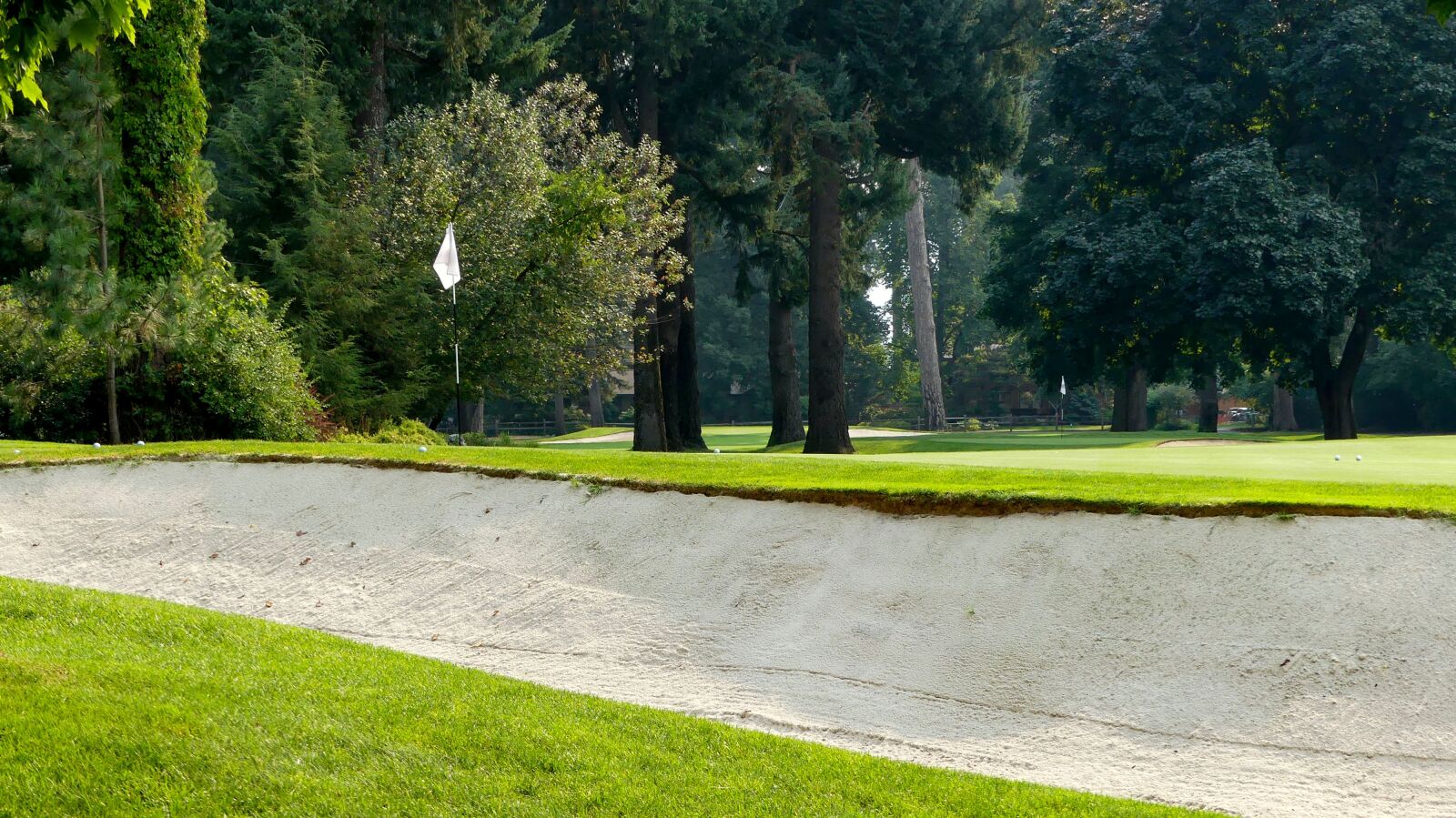 Panasonic Lumix DMC-FZ300 sample photo. Golf, trees, outdoors photography