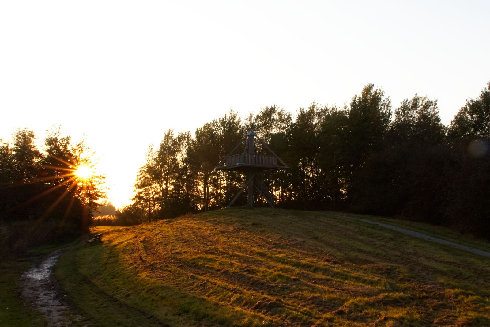Canon EOS 70D sample photo. Setting sun, autumn, park photography